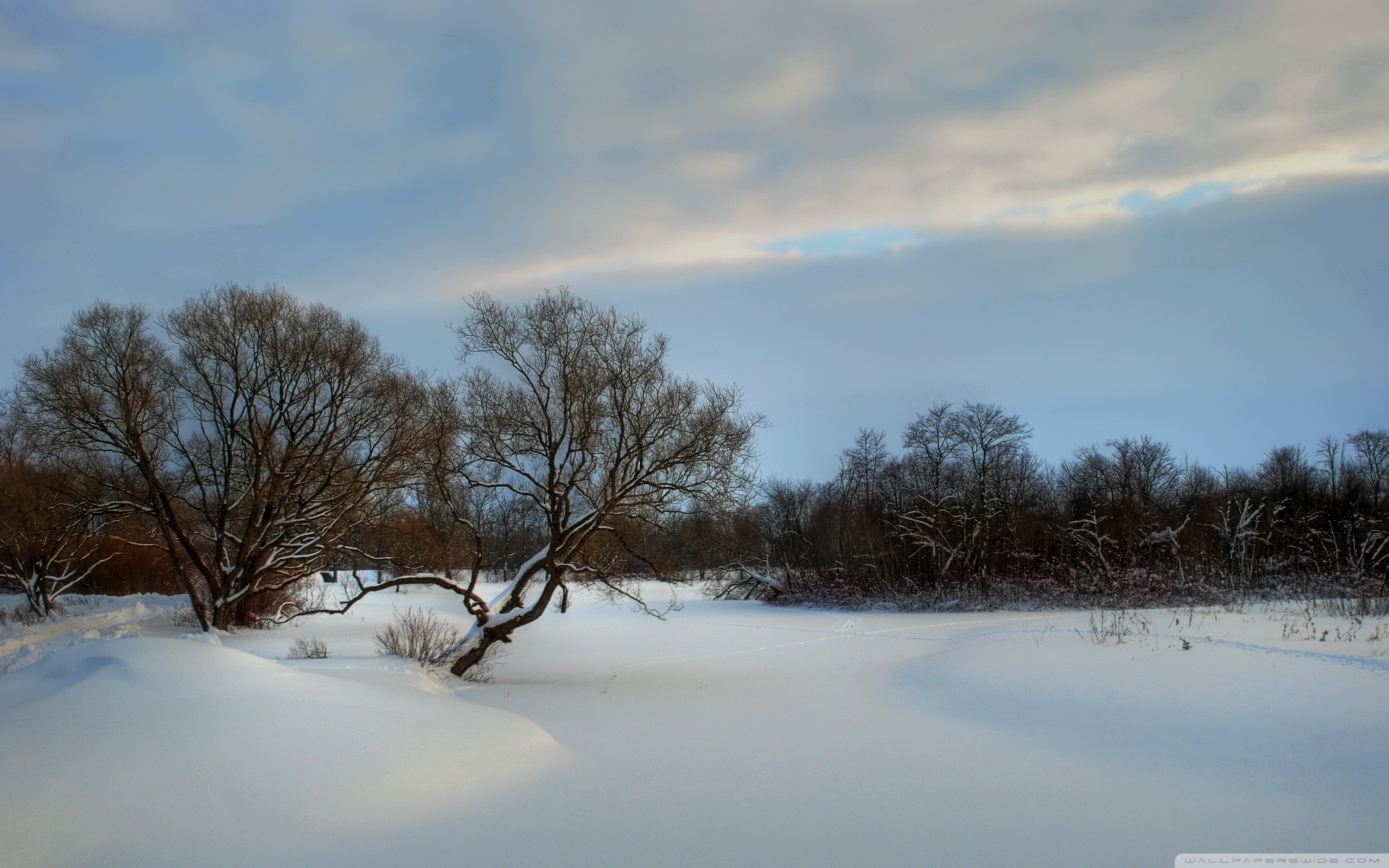 Frozen River, Winter Ultra HD Desktop Background Wallpaper for 4K UHD TV, Multi Display, Dual Monitor, Tablet