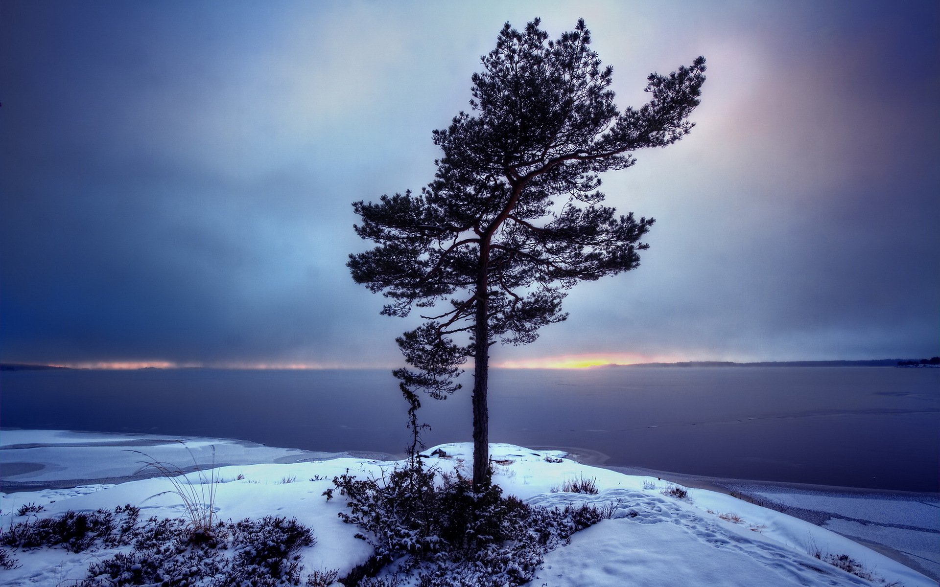 alone, Tree, Beauty, Dawn, Frozen, Sea, Nature, Photography, Sea, Sea, Winter, Sky, Snow, Field, Tree, Winter Wallpaper HD / Desktop and Mobile Background