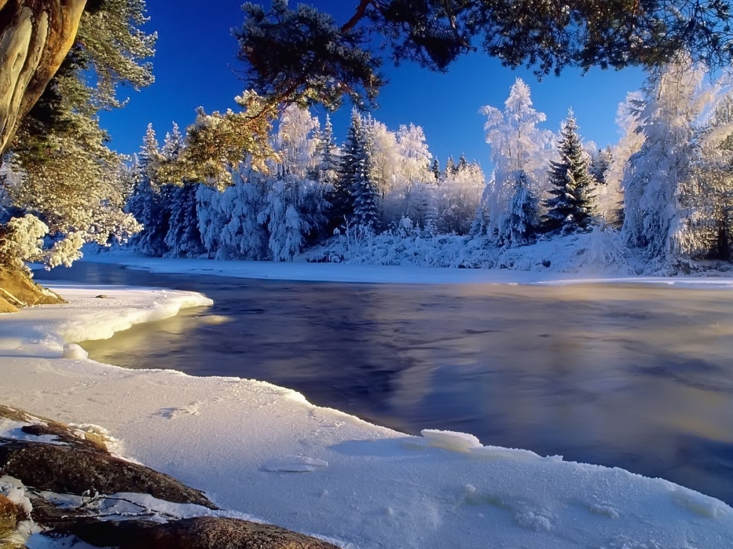 Snow Trees & Frozen River desktop PC and Mac wallpaper