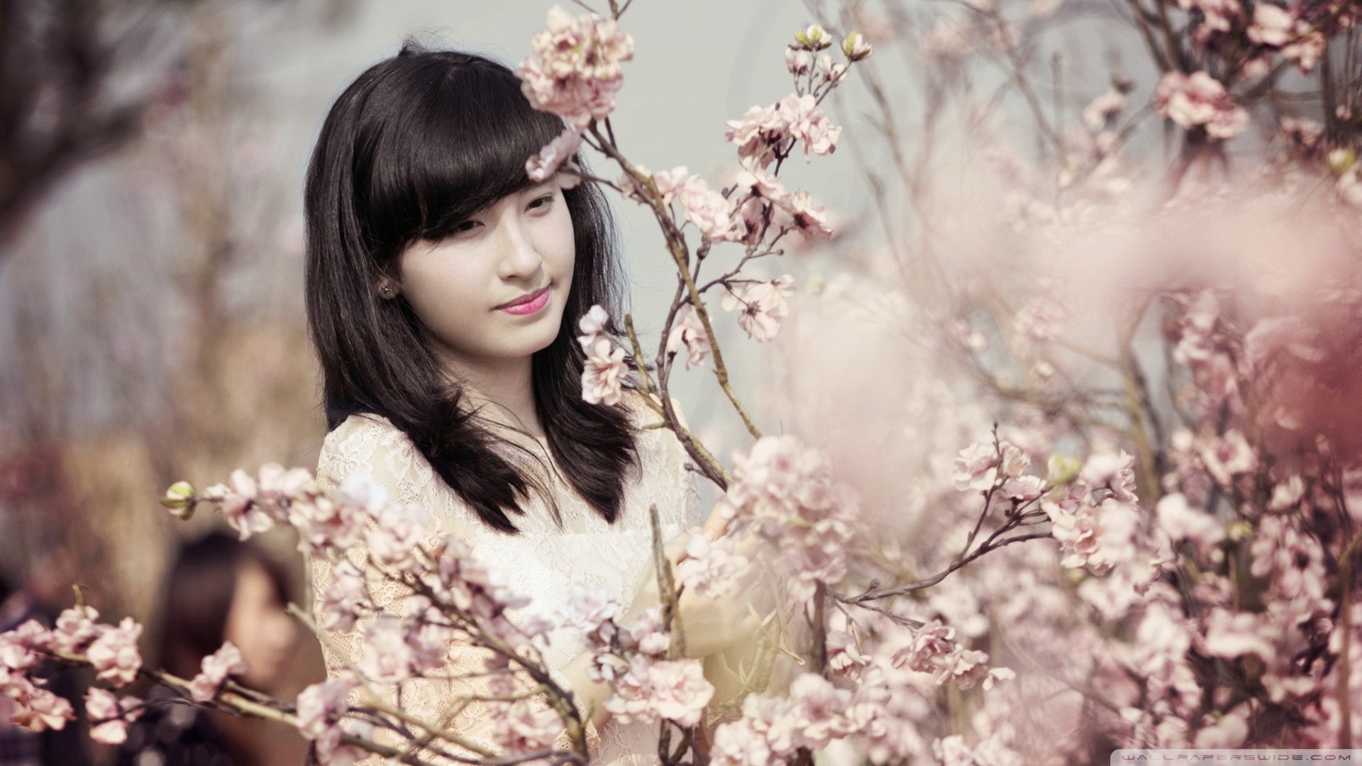 Wallpaper, women, brunette, Asian, photography, fashion, cherry blossom, spring, autumn, flower, plant, beauty, season, woman, lady, bride, photograph 1920x1080