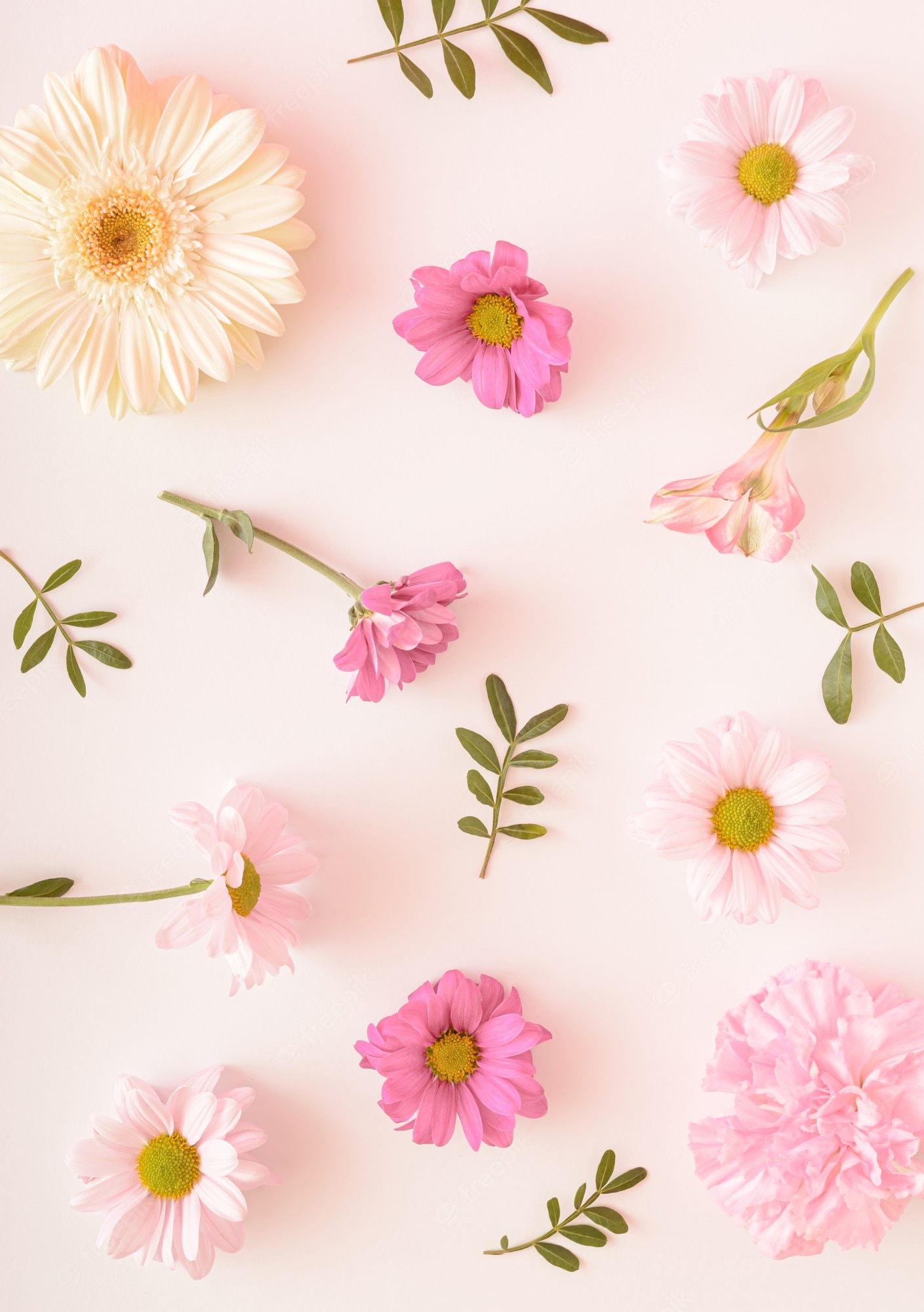 Premium Photo. Various types of flowers of gentle colors on a light background. chrysanthemum, carnation, gerbera that are spontaneously arranged in a pattern. summer spring flower concept