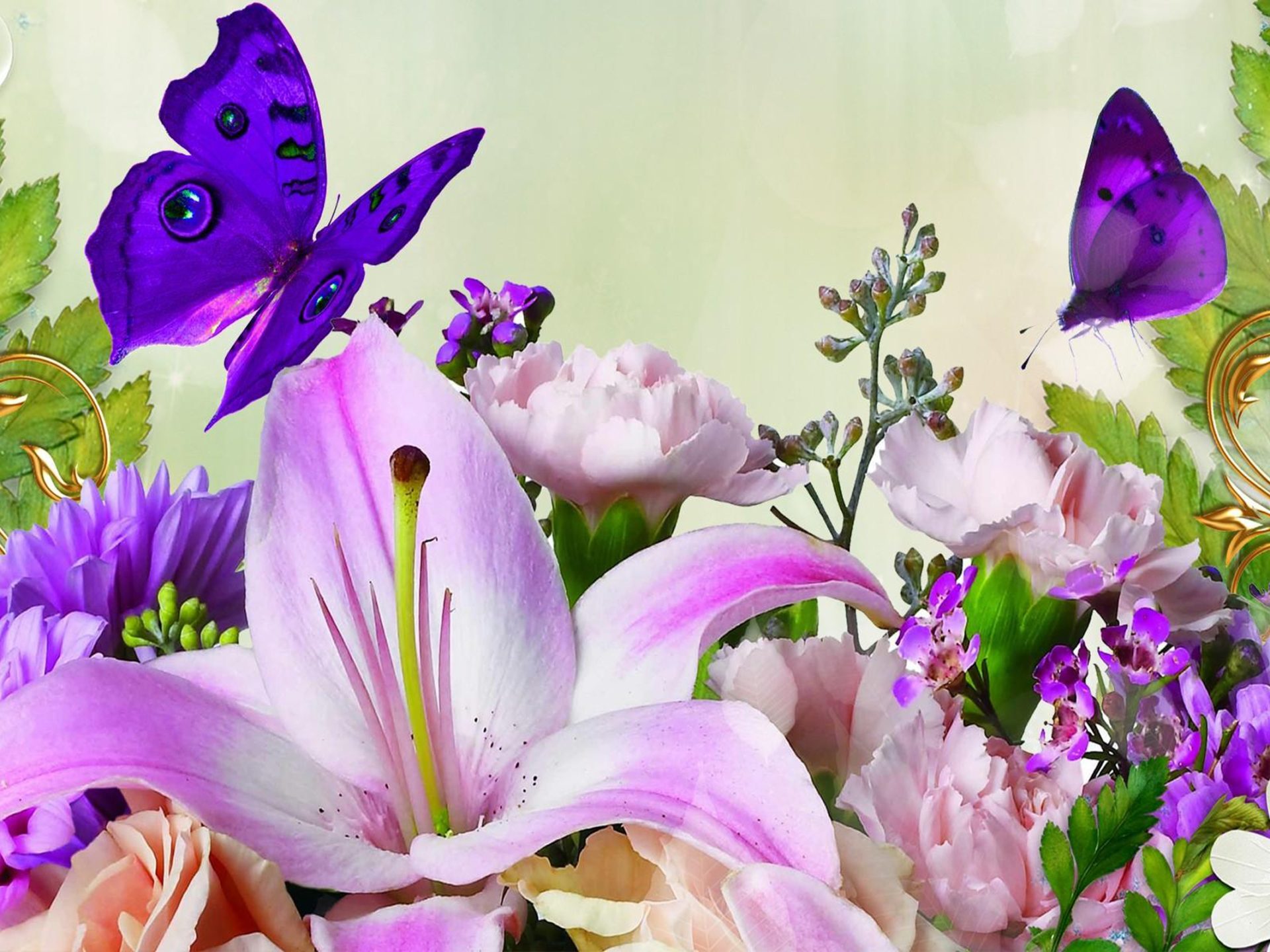 Lilies Spring Flowers, Wallpaper13.com