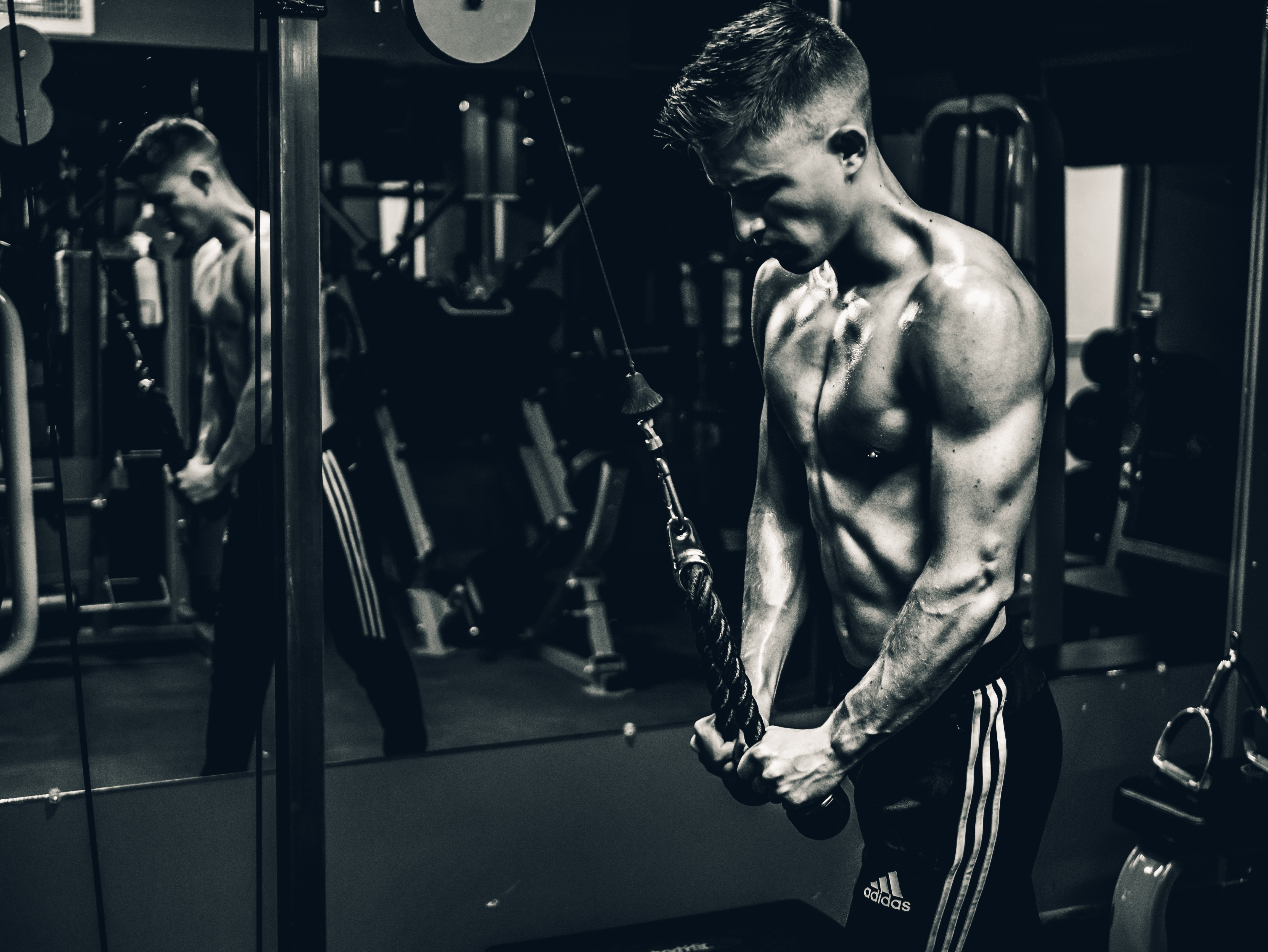 4K, workout, gym, bodybuilder, muscles, Men Gallery HD Wallpaper