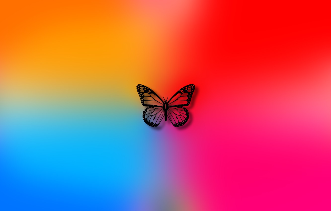 Wallpaper color, background, butterfly, colors, art, wallpaper, butterfly image for desktop, section абстракции