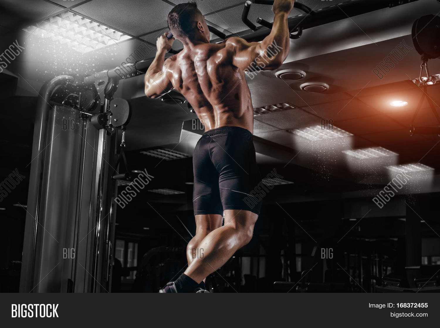 Muscle Athlete Man Gym Image & Photo (Free Trial)