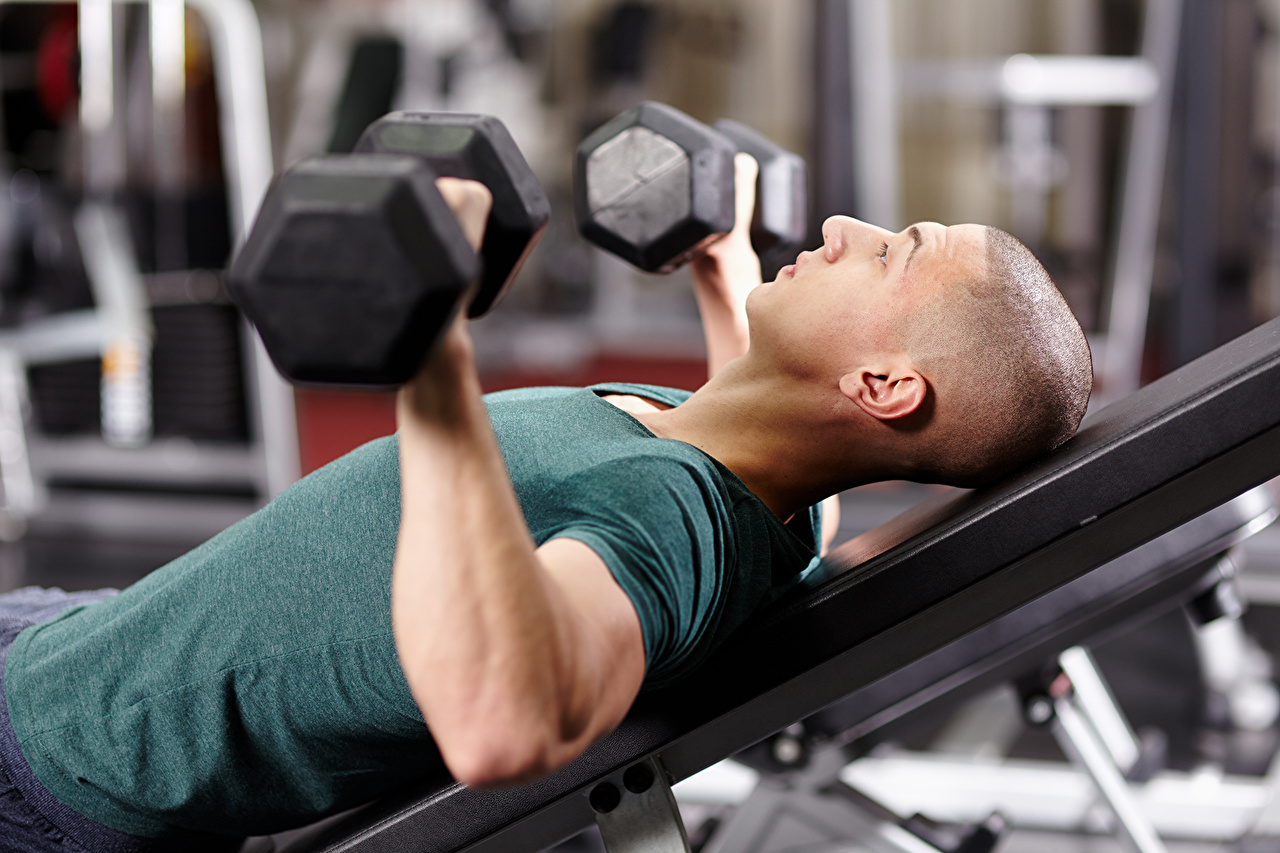 Desktop Wallpaper Men Physical exercise Fitness athletic Dumbbells