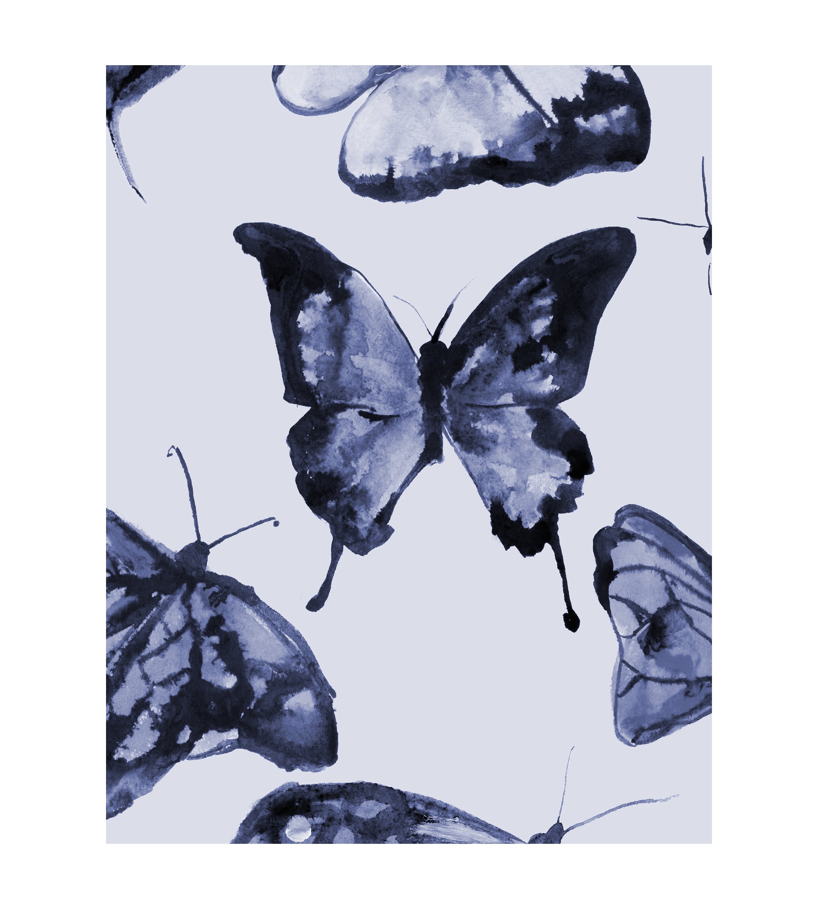 Butterflies in Rhapsody Blue Wallpaper