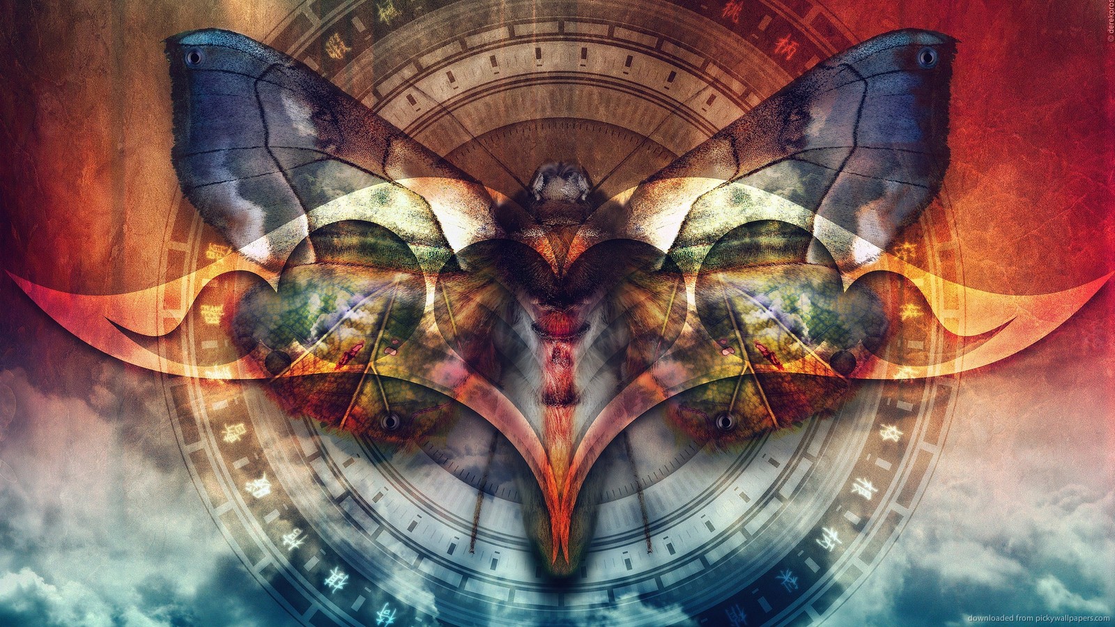 moth wallpaper HD