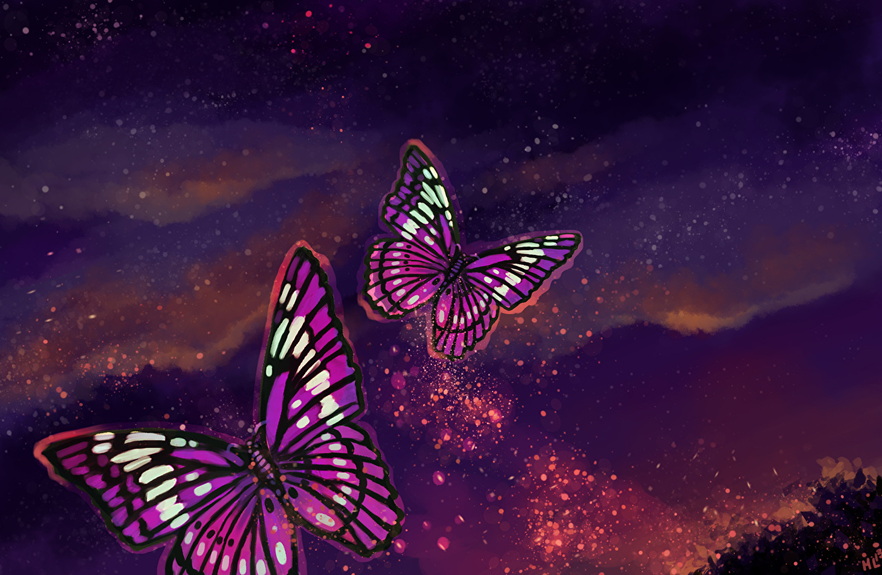 Desktop Wallpaper butterfly Animals Painting Art