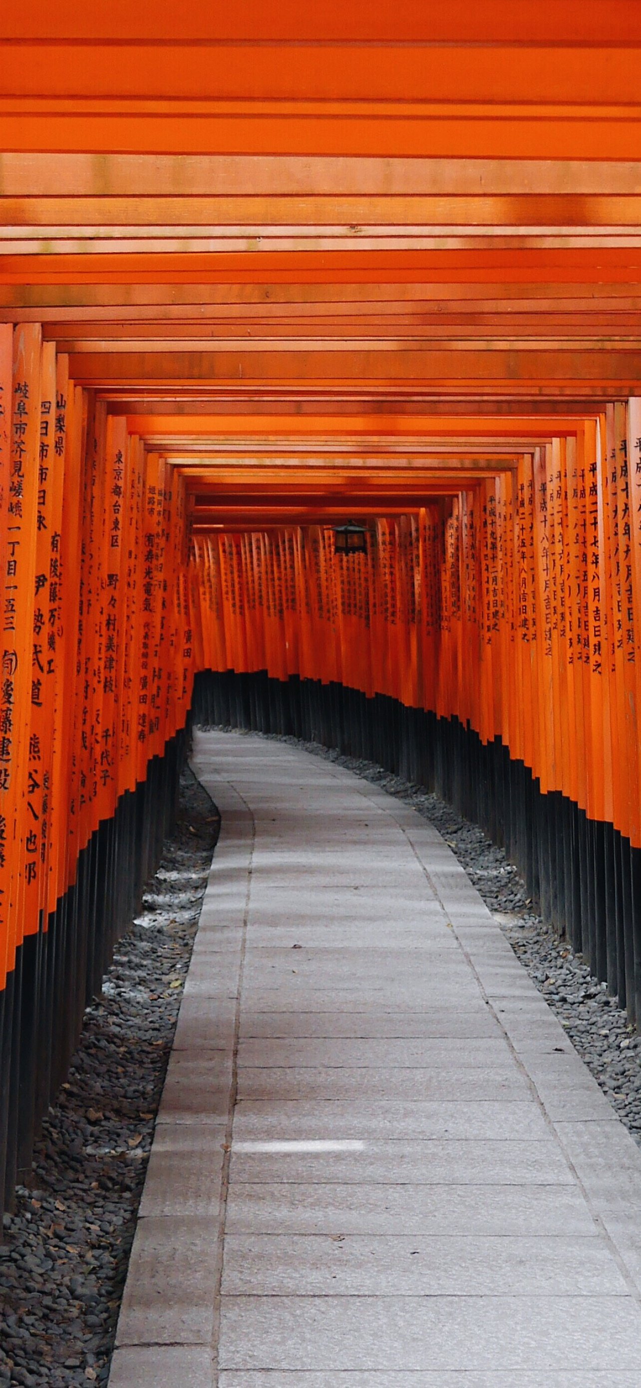 Fushimi Inari Taisha Wallpaper 4K, Shrine, Kyoto, Japan, Orange