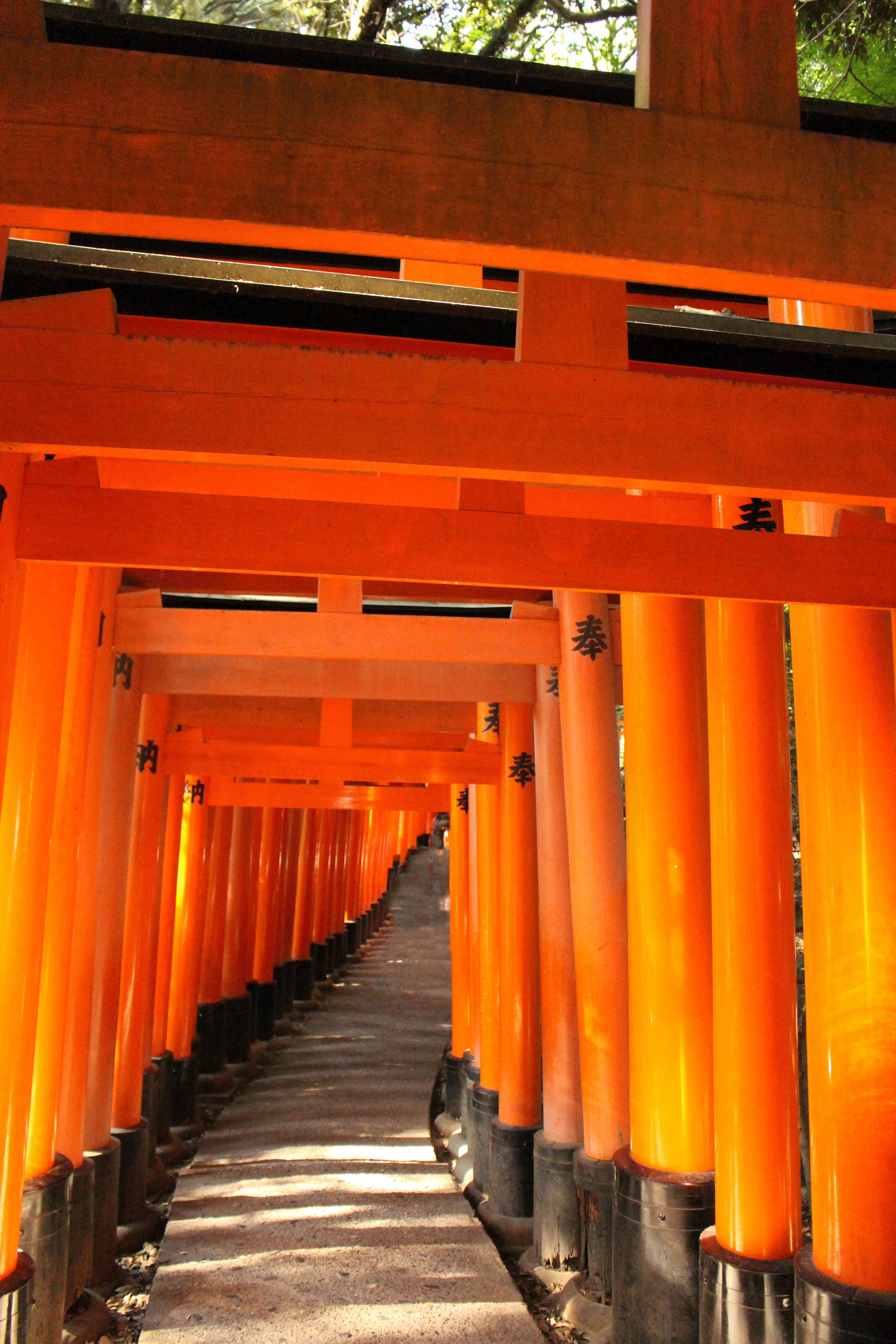 Hiking Mount Inari and Daimonji in Kyoto