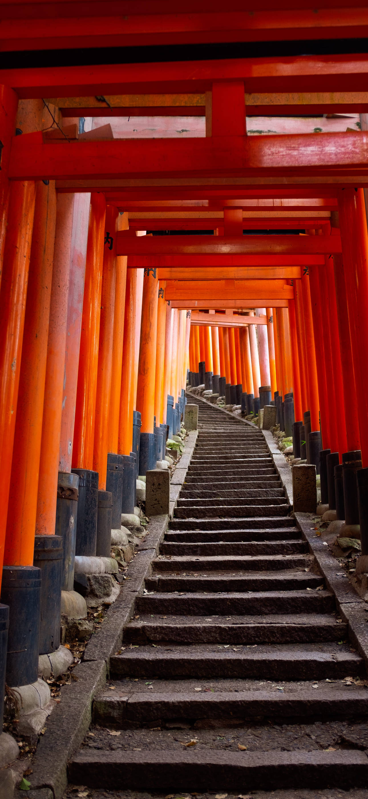 Download Japanese Aesthetic iPhone Torii Stairway Wallpaper