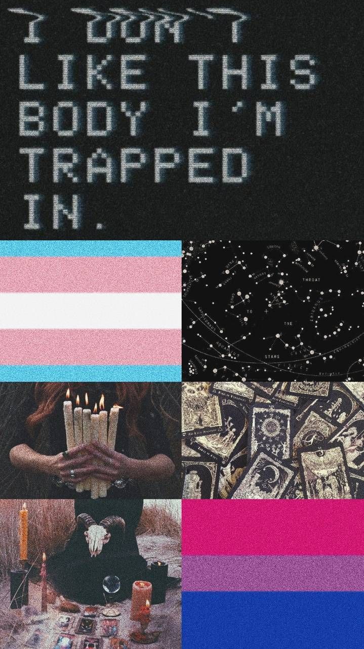 cool bi and trans background