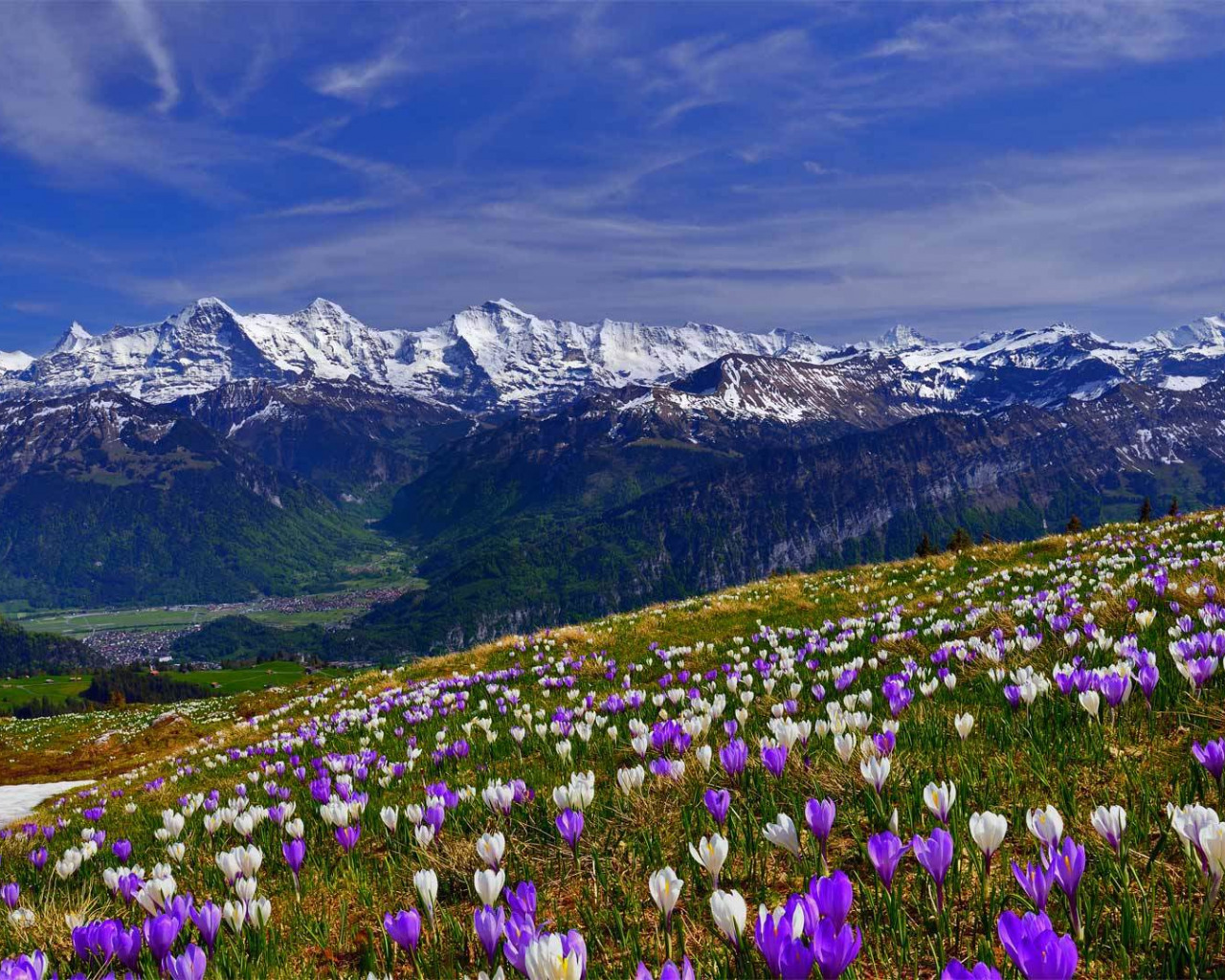 Spring 1280x1024 Wallpapers - Wallpaper Cave