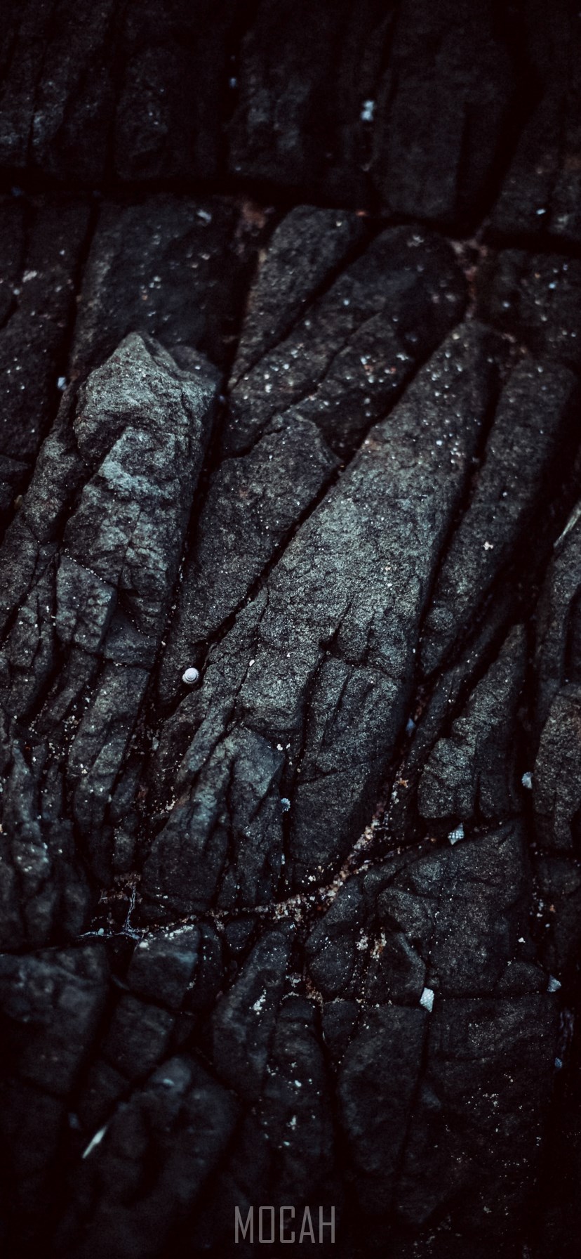 Apple iPhone XR, 828x1792