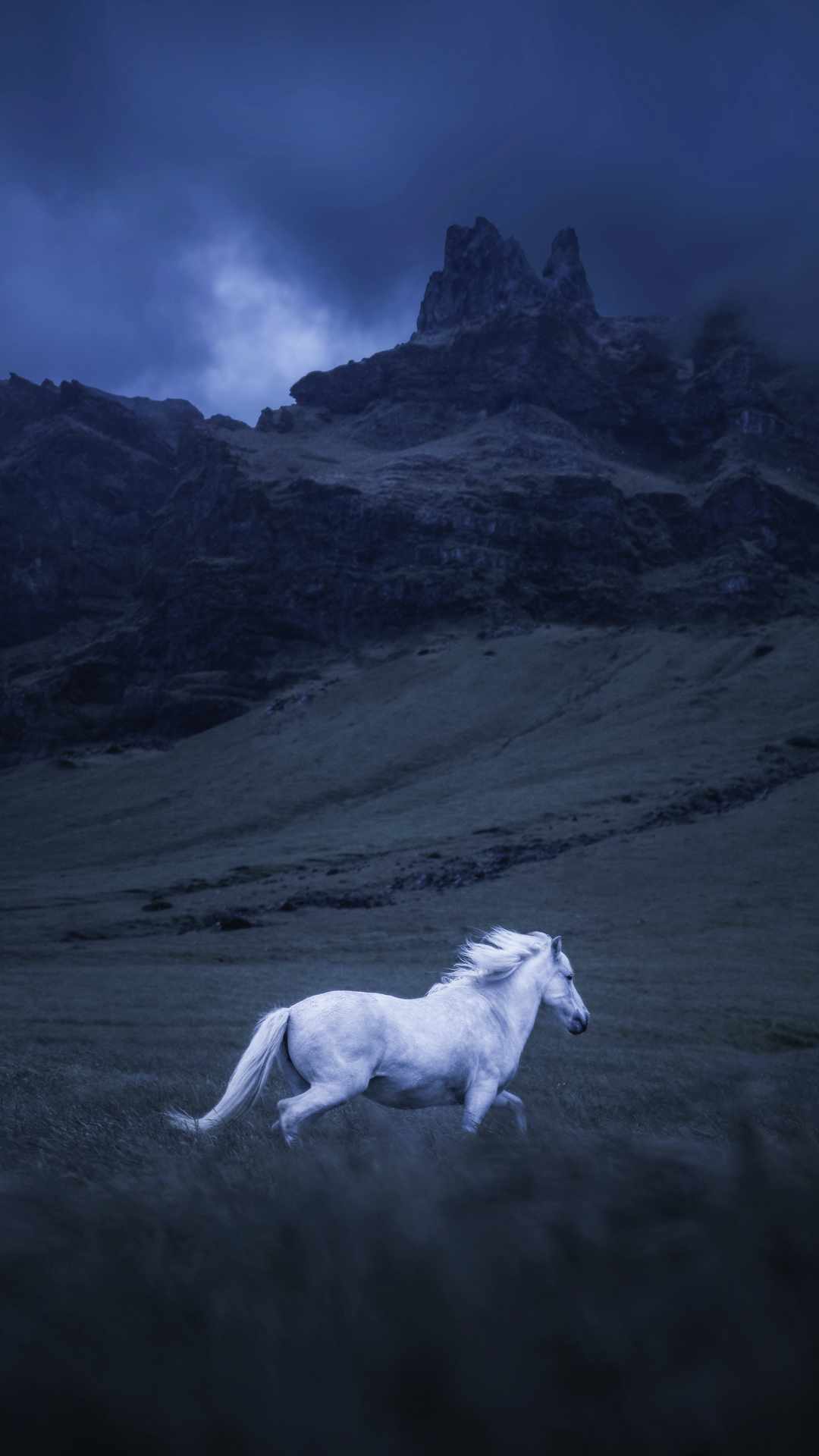 Icelandic Horse IPhone Wallpaper Wallpaper, iPhone Wallpaper