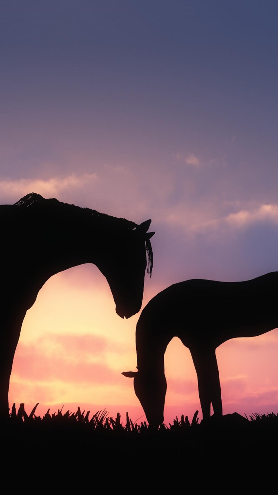 horse HD wallpaper, background