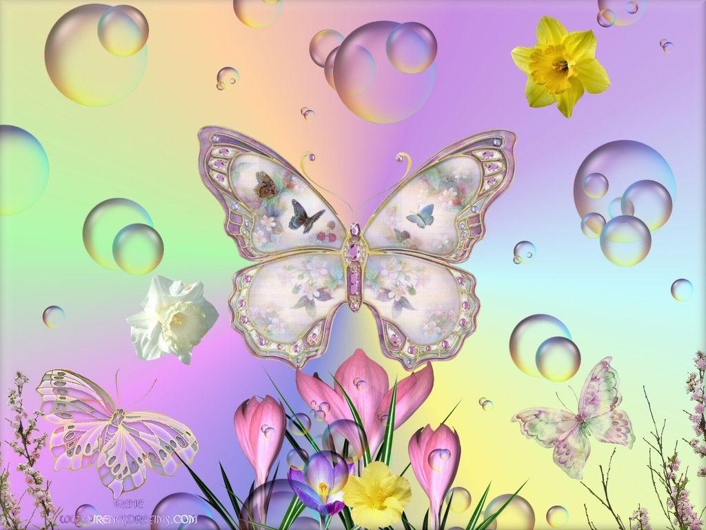 Spring Butterfly Wallpaper