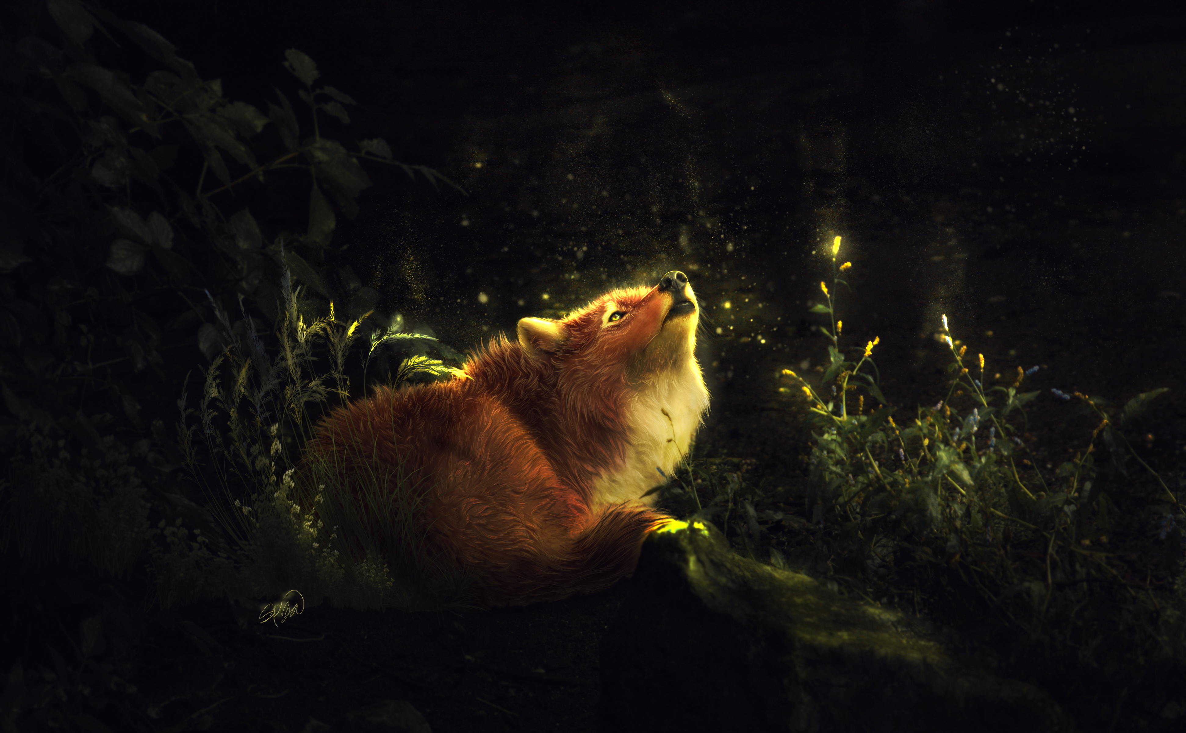 Fox in Enchanted Forest