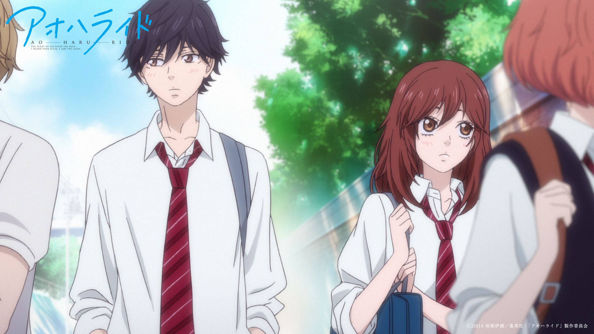 Download Ao Haru Ride Blushing Couple Wallpaper