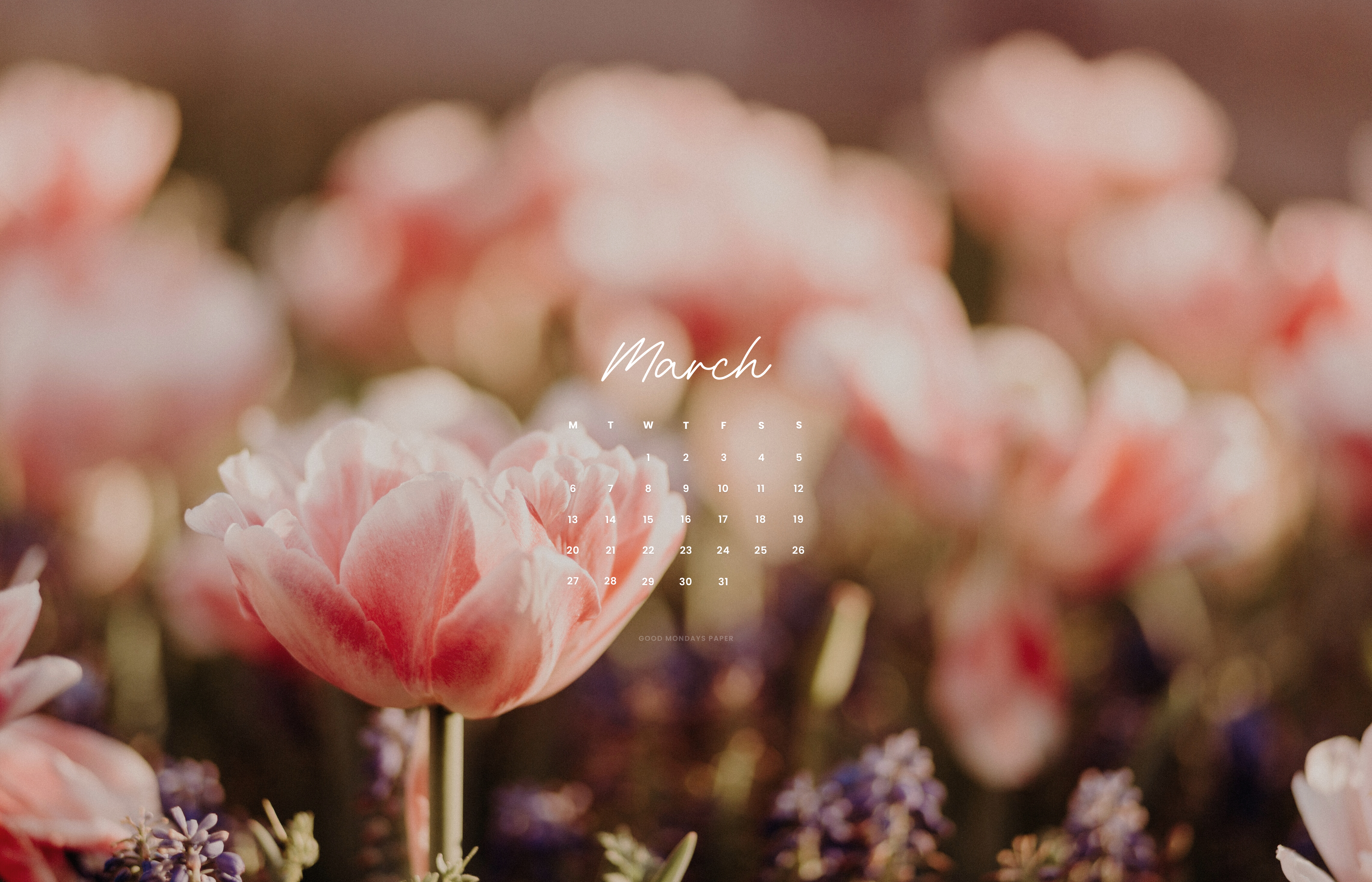 March 2023 Wallpaper