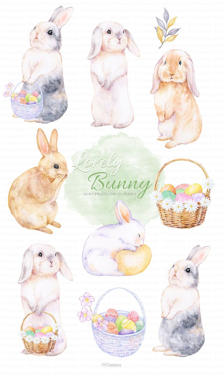 Spring Watercolor Easter Bunny Clipart Lop Rabbit. Easter rabbit illustration, Rabbit illustration, Bunny watercolor