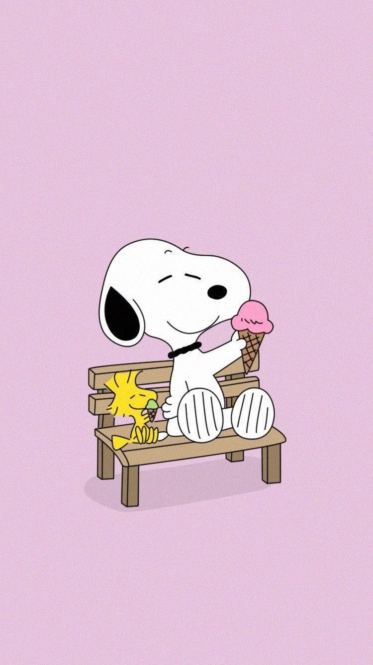 Snoopy Aesthetic Wallpapers - Wallpaper Cave