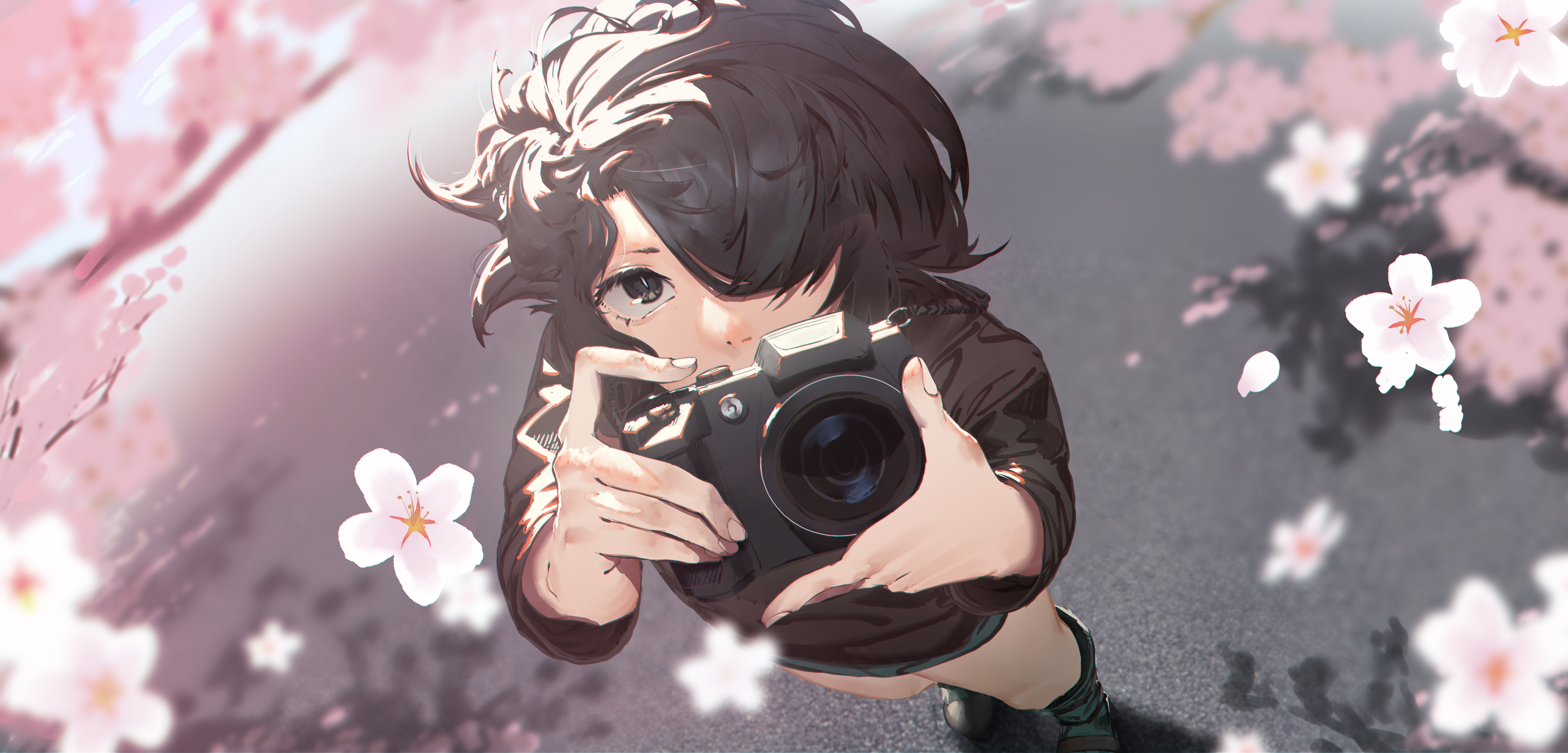 Wallpaper, anime girls, photographer, black hair, dark hair, black eyes, flowers, Sakura blossom, short hair, namusan1146 3541x1700
