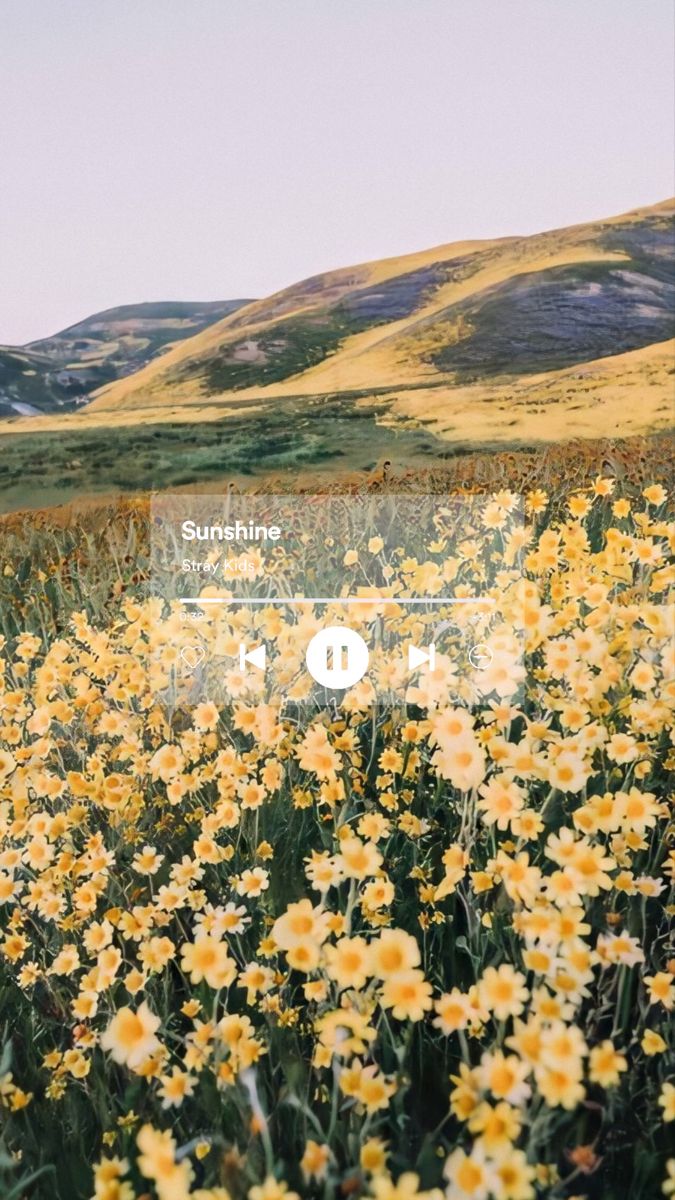 Stray Kids Wallpaper