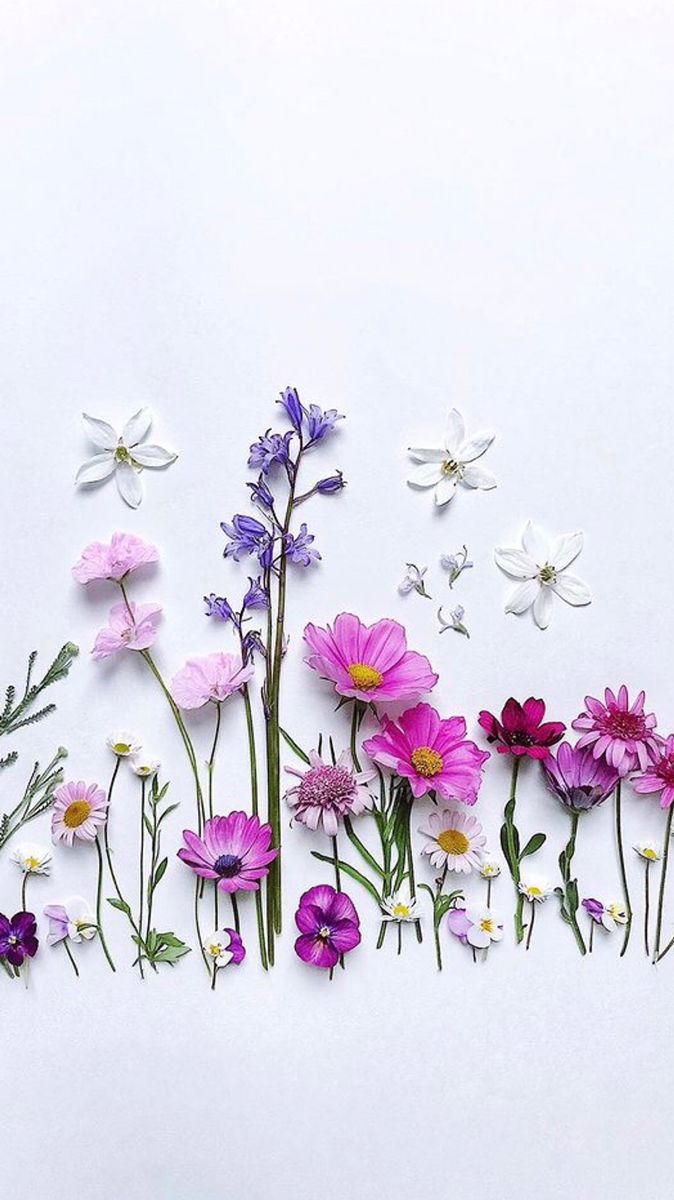 Pin By Knittedhearts Scarlett On Wallpaper Artjournals Mixedmedia. Flower Petal Art, Wallpaper Nature Flowers, Cute Flower Wallpaper