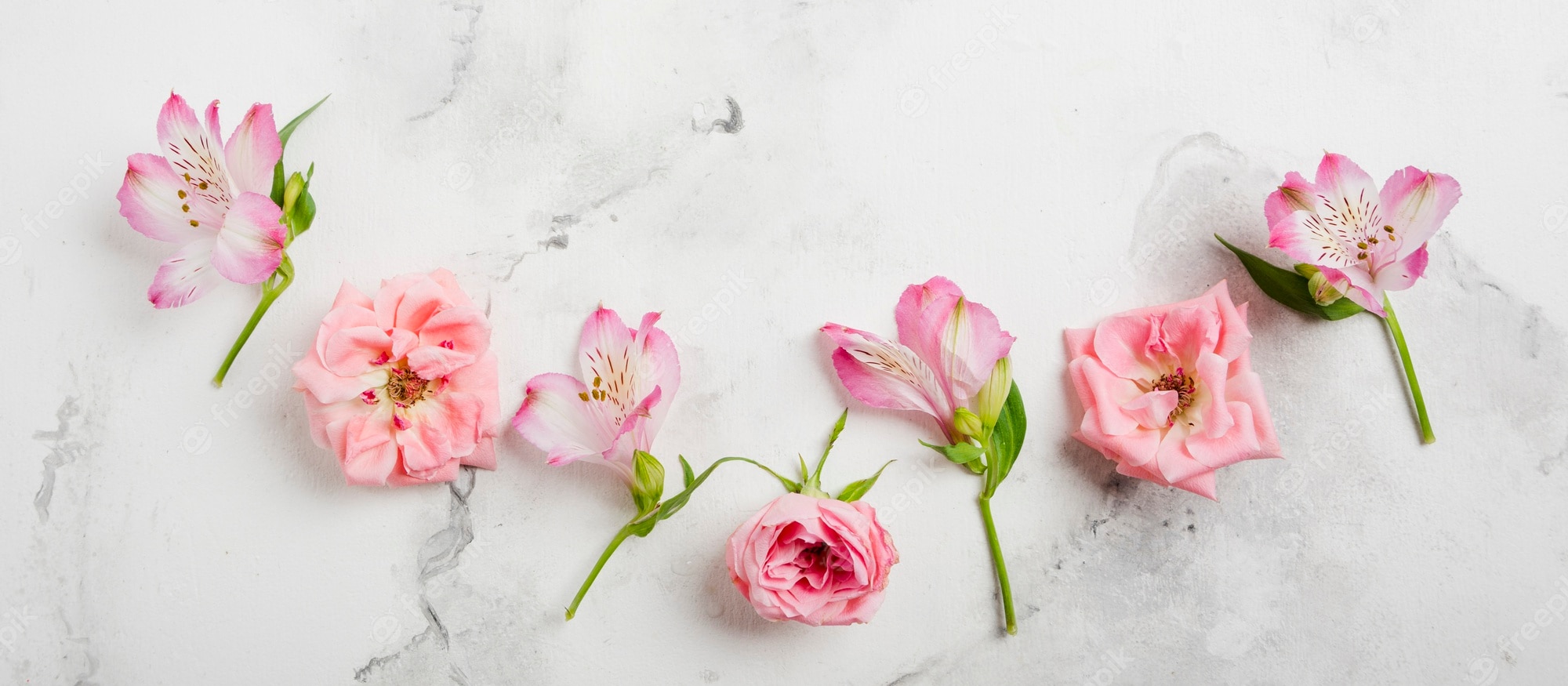 Premium Photo. Flat lay of spring roses and orchids with marble background