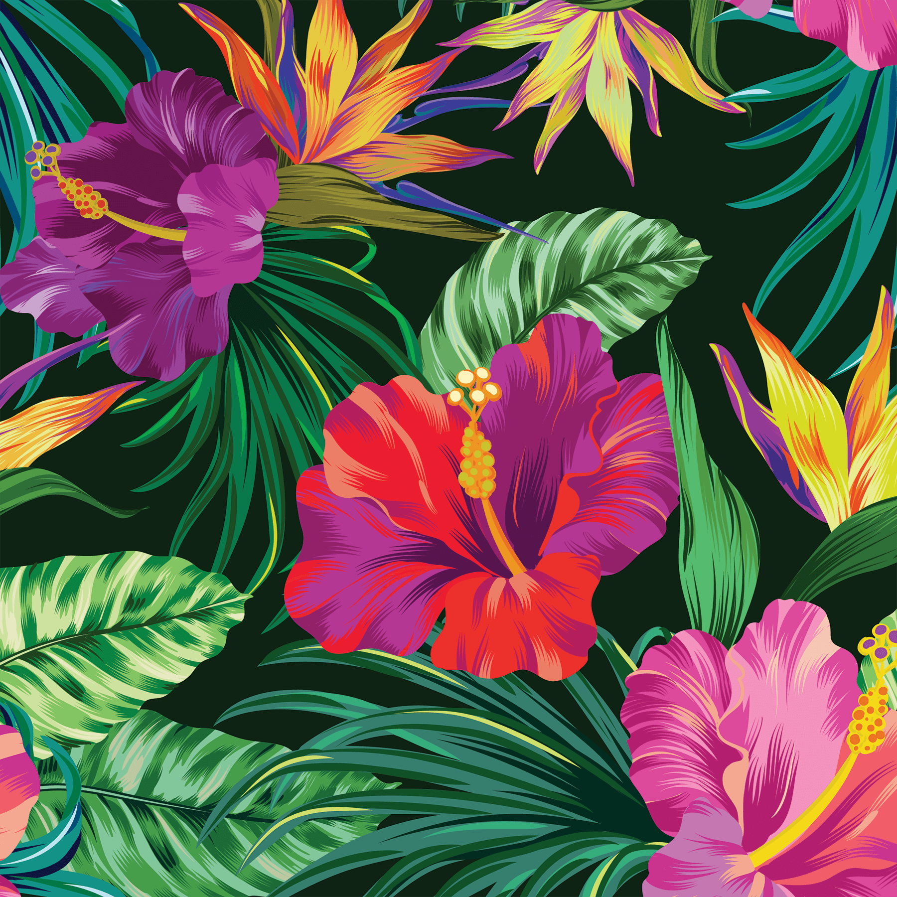 Tropical Floral Wallpapers Wallpaper Cave