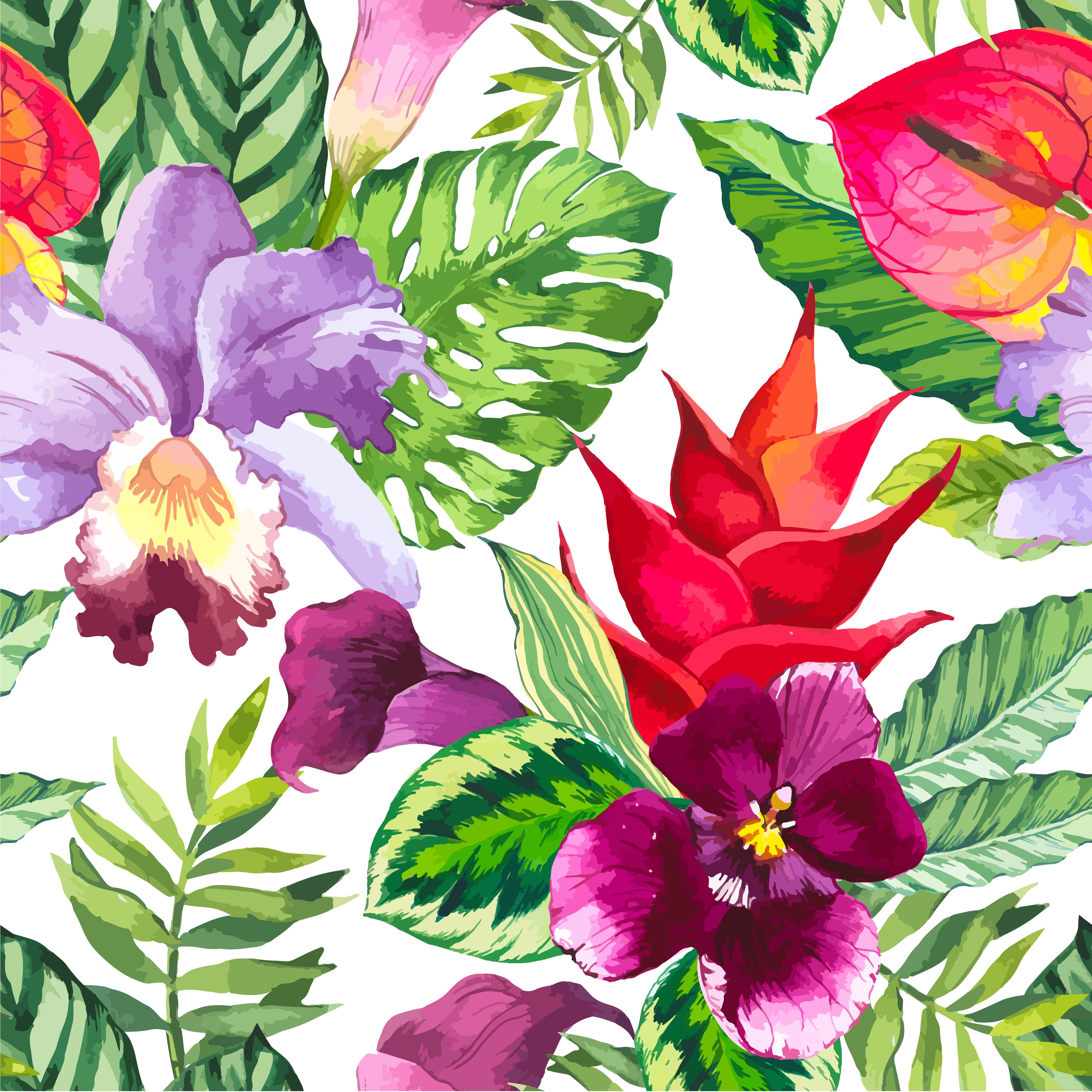 Tropical Flower Watercolor Wallpaper Free Tropical Flower Watercolor Background