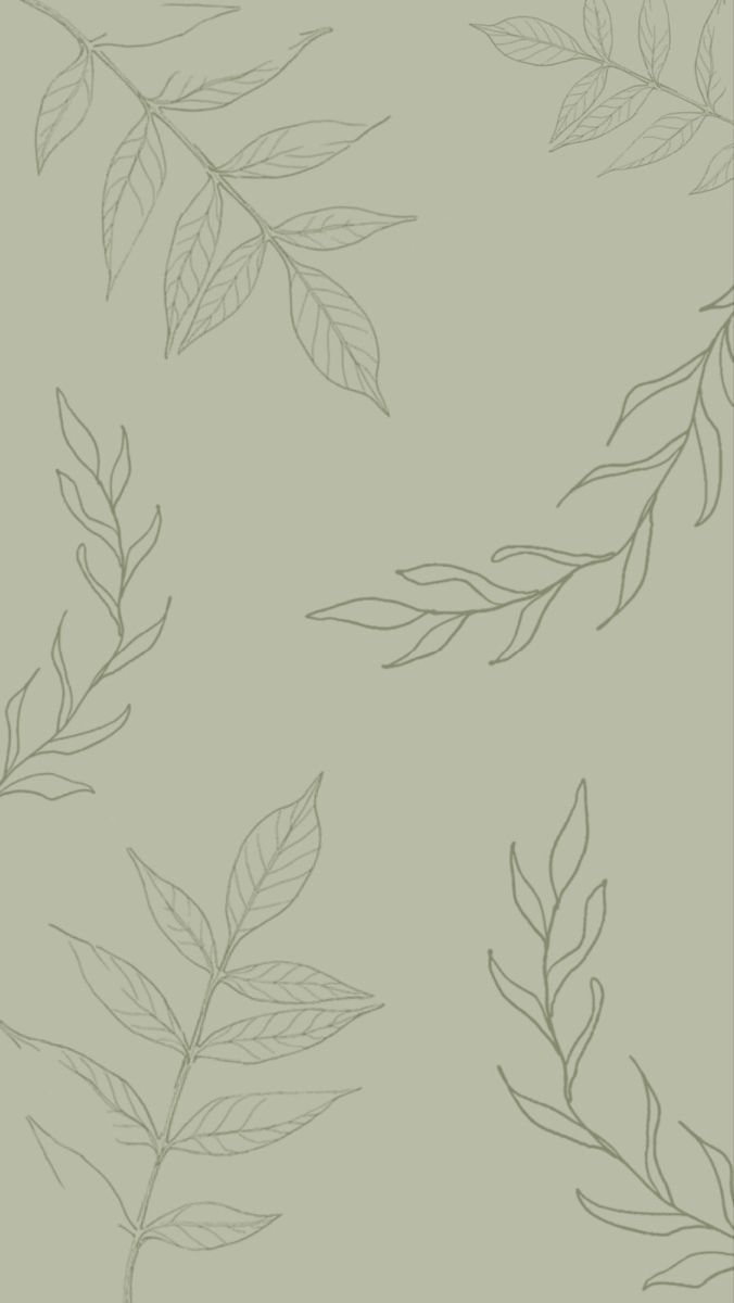 ios 14 wallpaper sage green leaves plant. Leaves wallpaper iphone, Sage green wallpaper, Green wallpaper