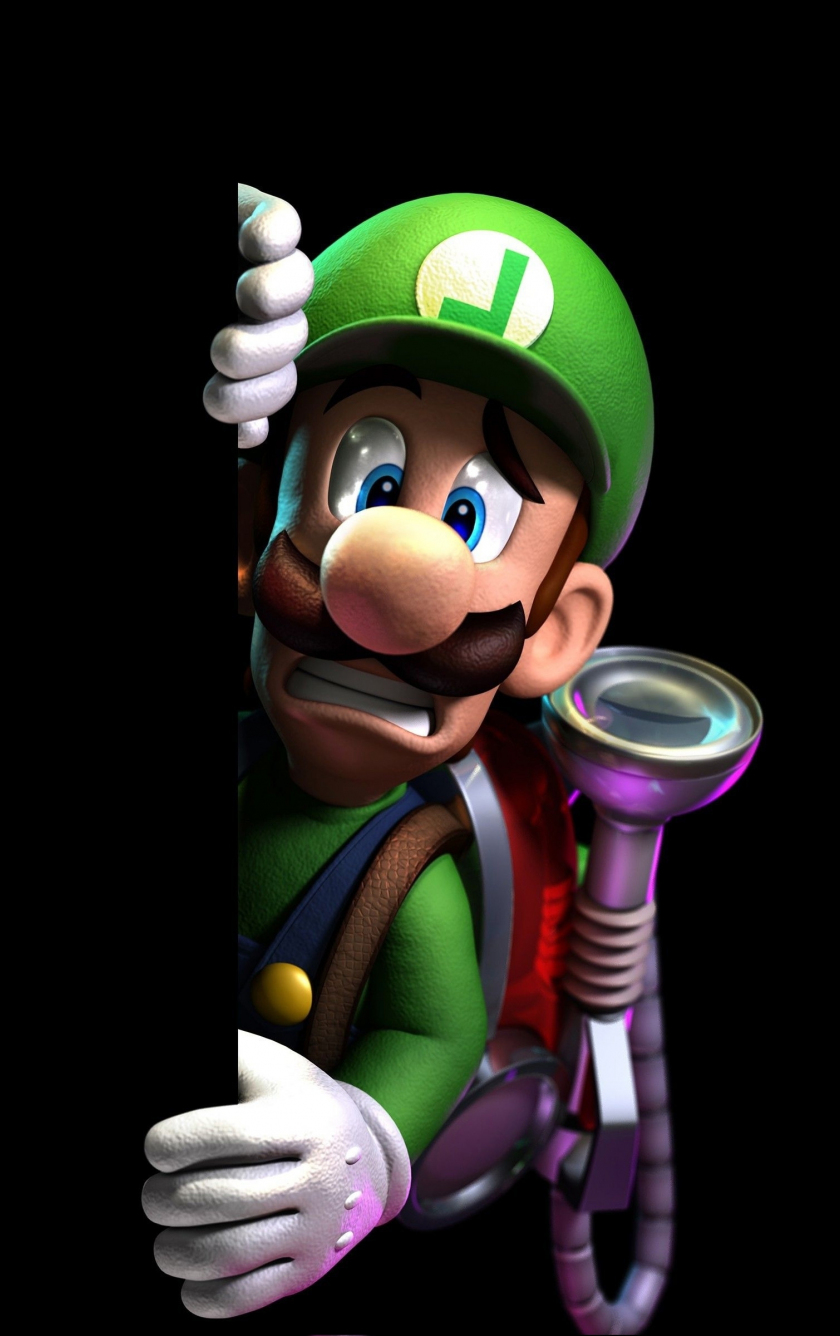 Download wallpaper 840x1336 scared mario luigi, fan art, video game, iphone iphone 5s, iphone 5c, ipod touch, 840x1336 HD background, 26301