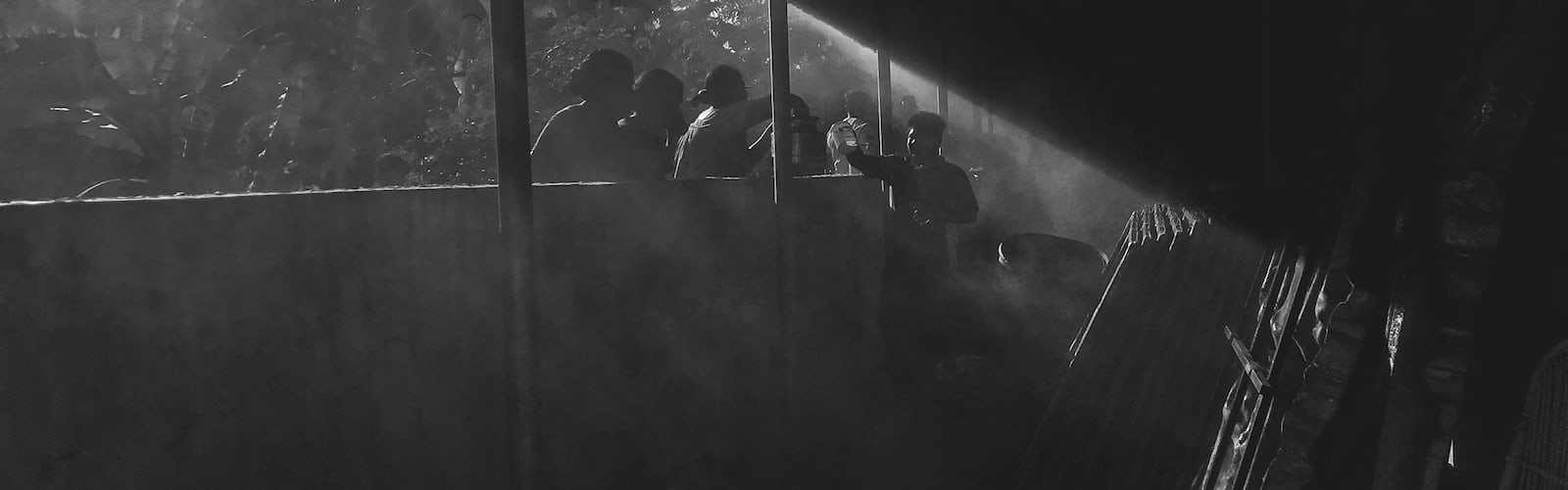 Aesthetic landscape. best free outdoor, plant, grey and green photo