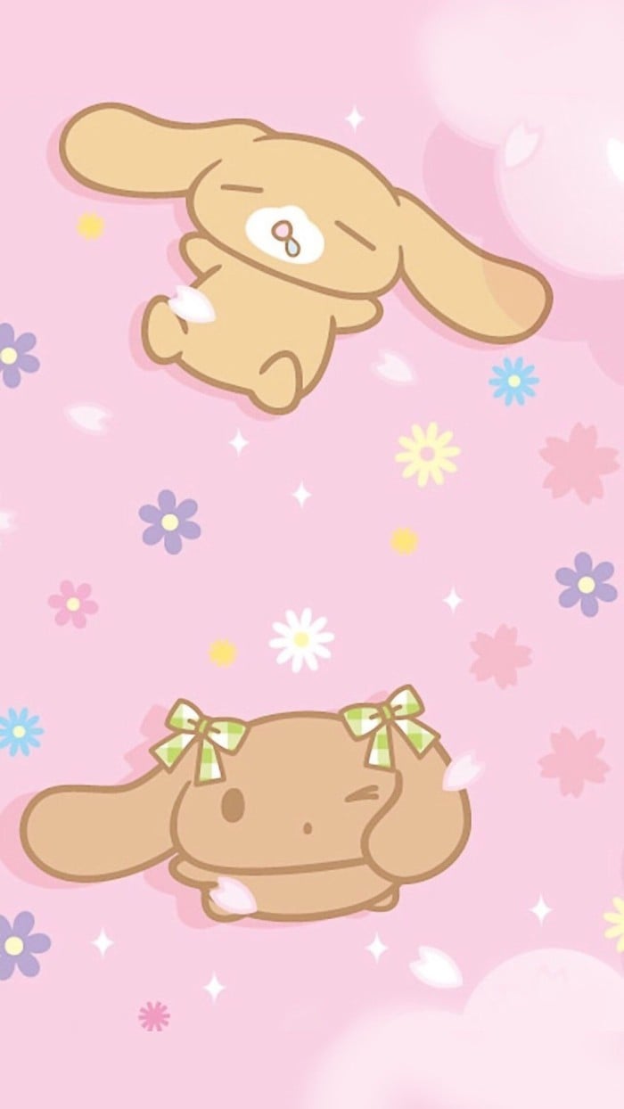 Cinnamoroll sanrio HD wallpaper  Peakpx