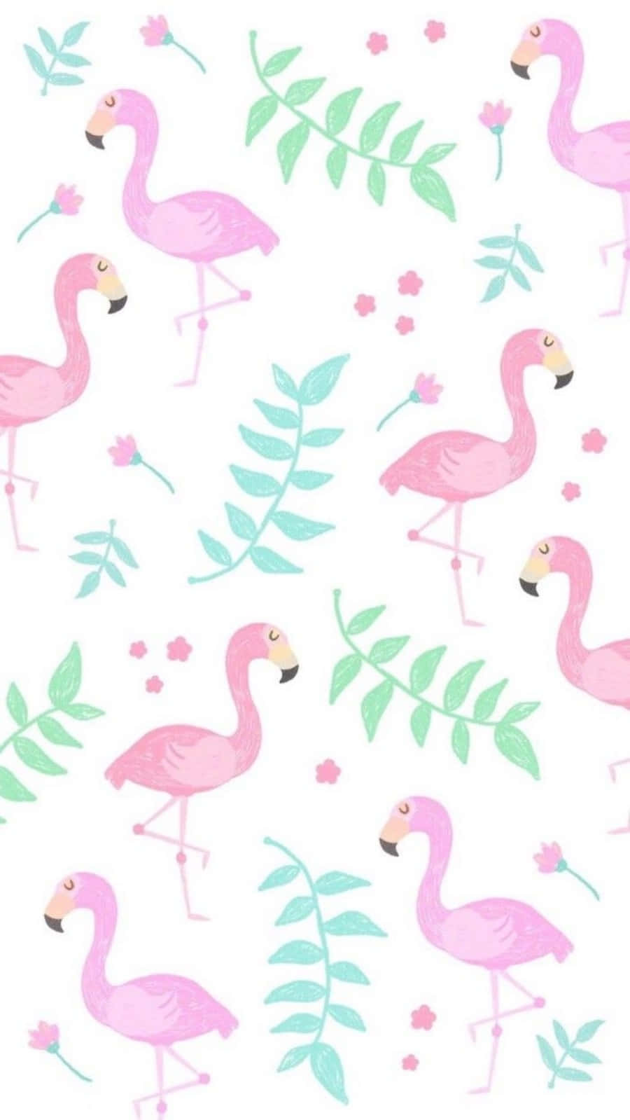 Download Cute Flamingo Birds Girly Tumblr Wallpaper
