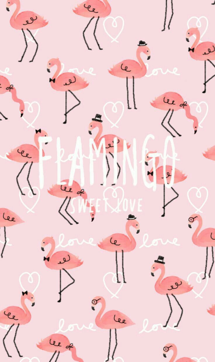 ✨Flamingo✨. Flamingo wallpaper, Pink flamingo wallpaper, We heart it wallpaper