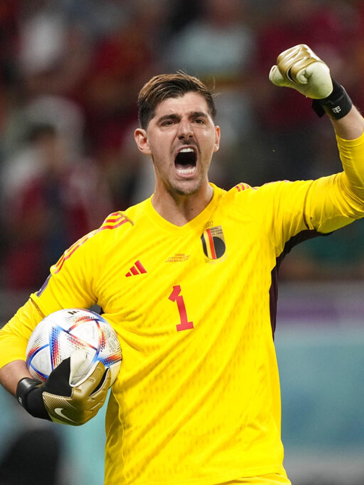 FIFA WC: Aim of invented stories is to create bad atmosphere within squad, says Belgium's Thibaut Courtois