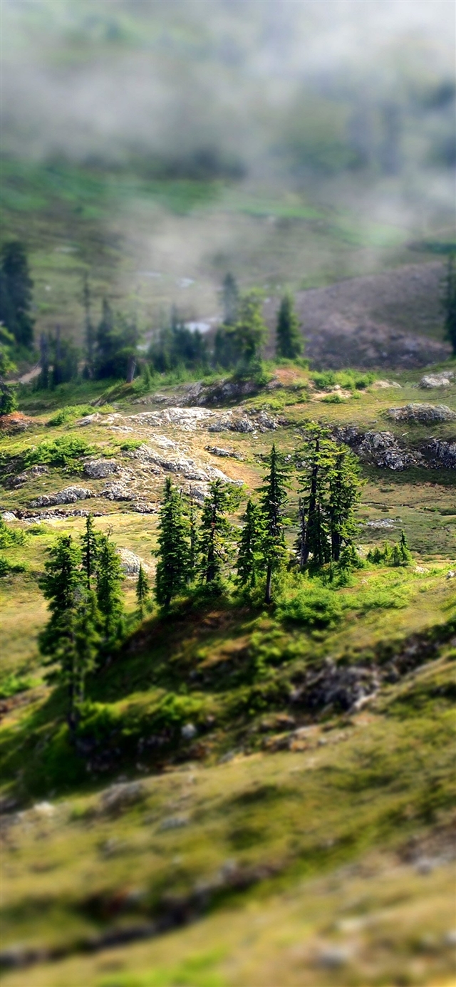 Mountain country spring forest iPhone X Wallpaper Free Download