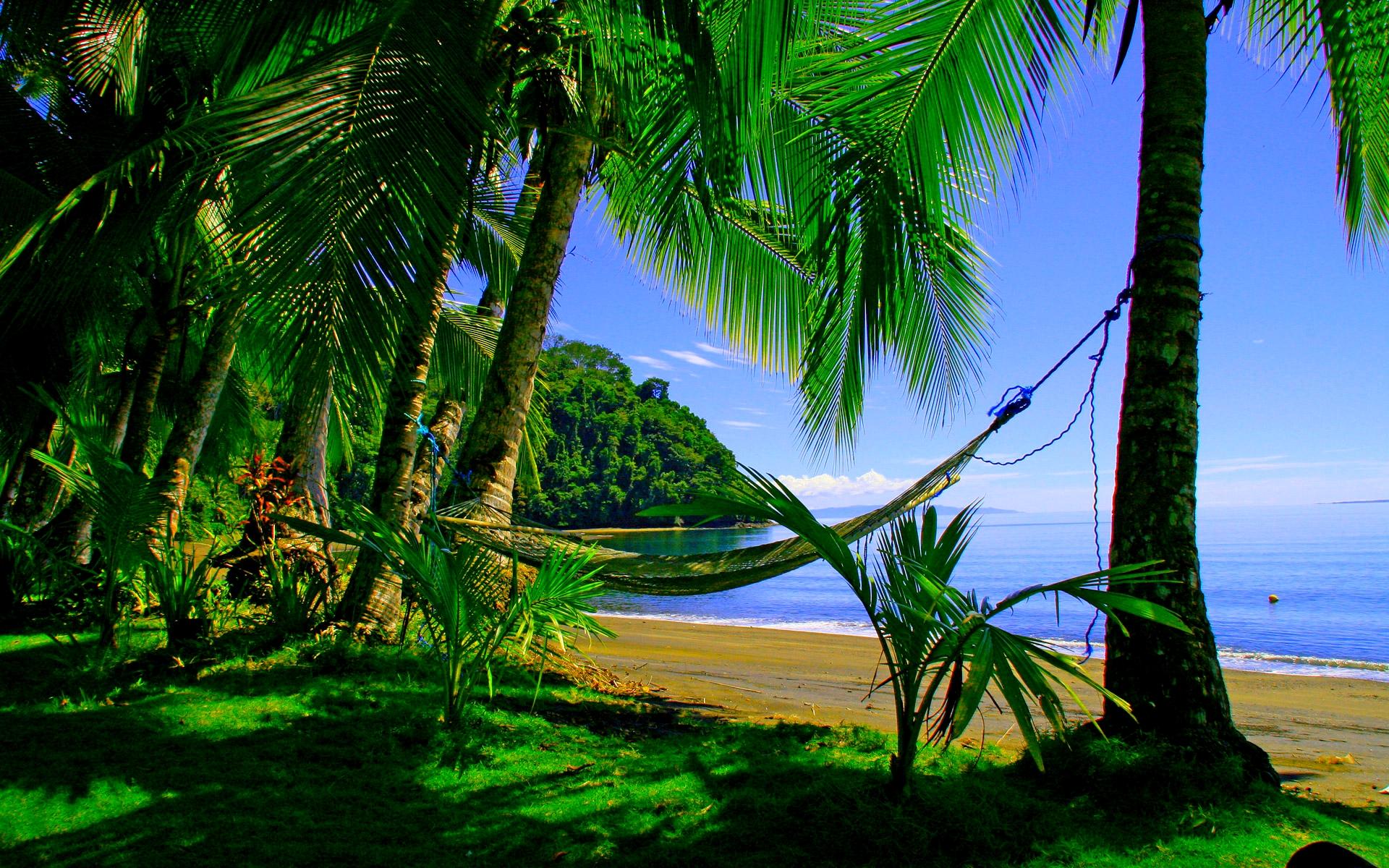 Green Beach Wallpapers - Wallpaper Cave