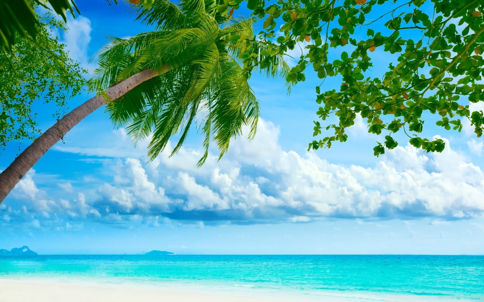 HD Wallpaper Beach