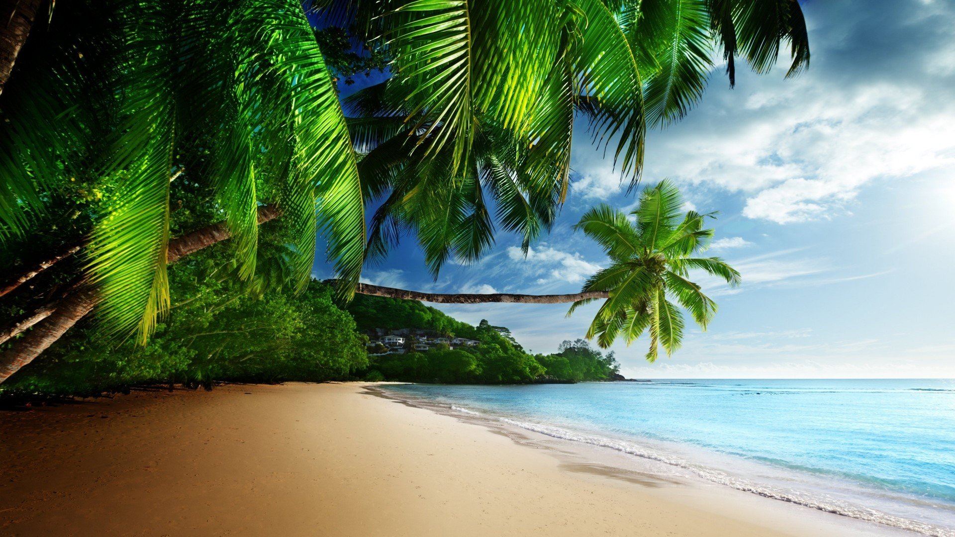 HD Tropical Beach Paradise Gallery HD Wallpaper