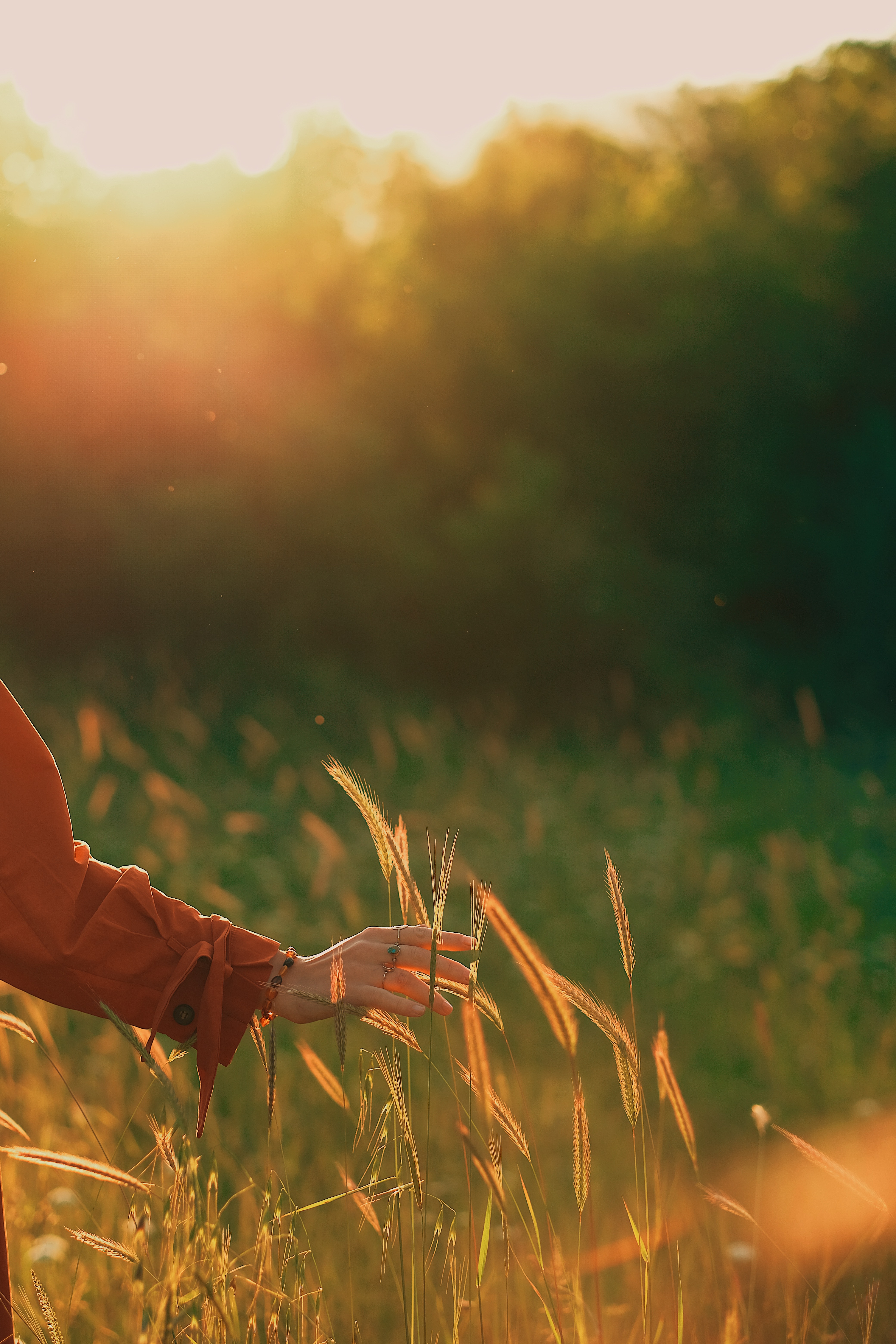 Selective Focus Photo of a Person's Hand Touching the Grass · Free