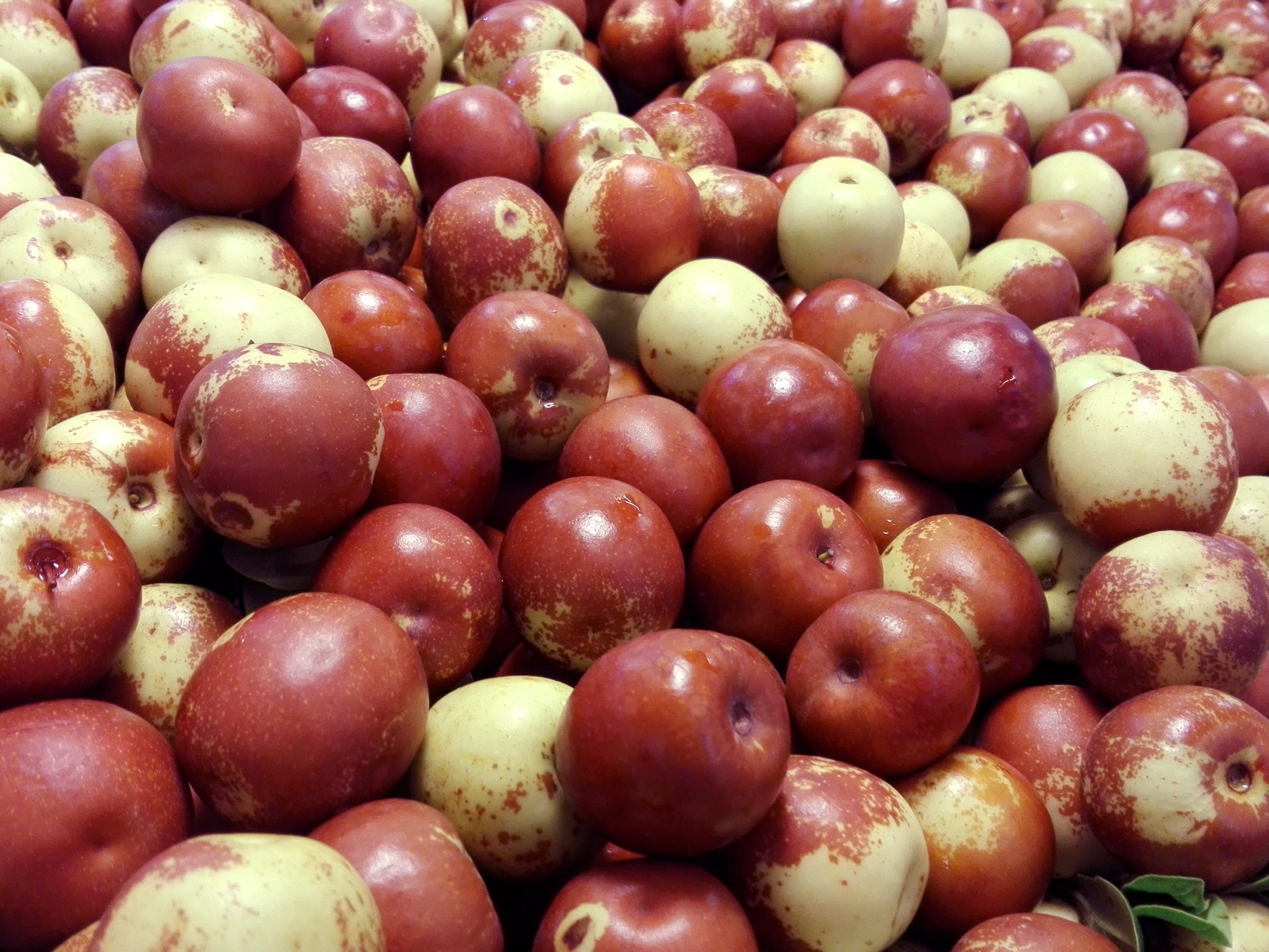 Jujube Wallpapers - Wallpaper Cave