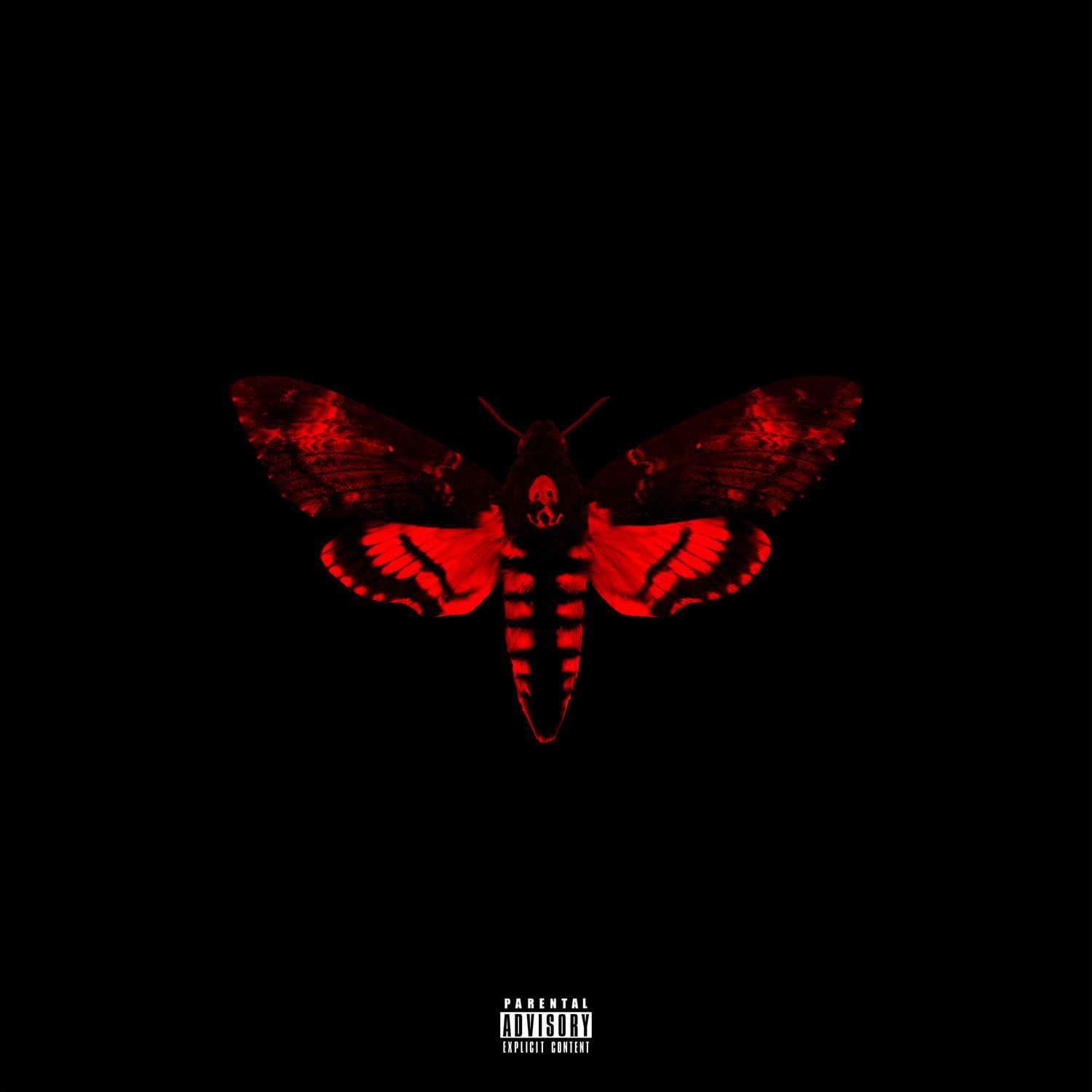 Lil Wayne'm Not a Human Being 2. Lil wayne albums, Lil wayne, Rap album covers