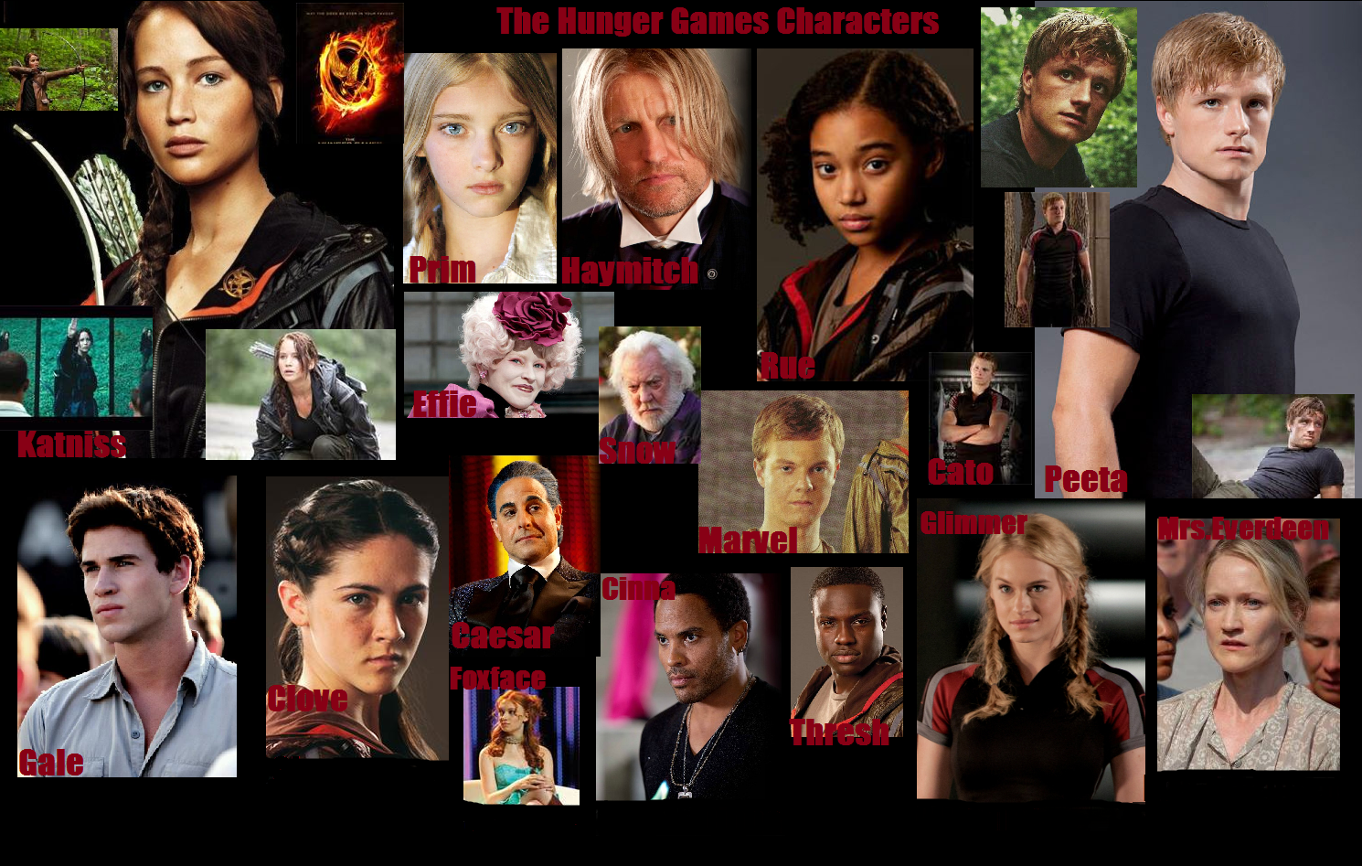 The Hunger Games Photo: Hunger Games Characters. Hunger games characters, Hunger games, Hunger games image