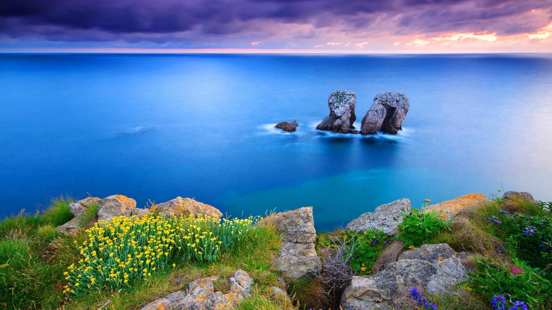 Coastal Wildflowers Spain
