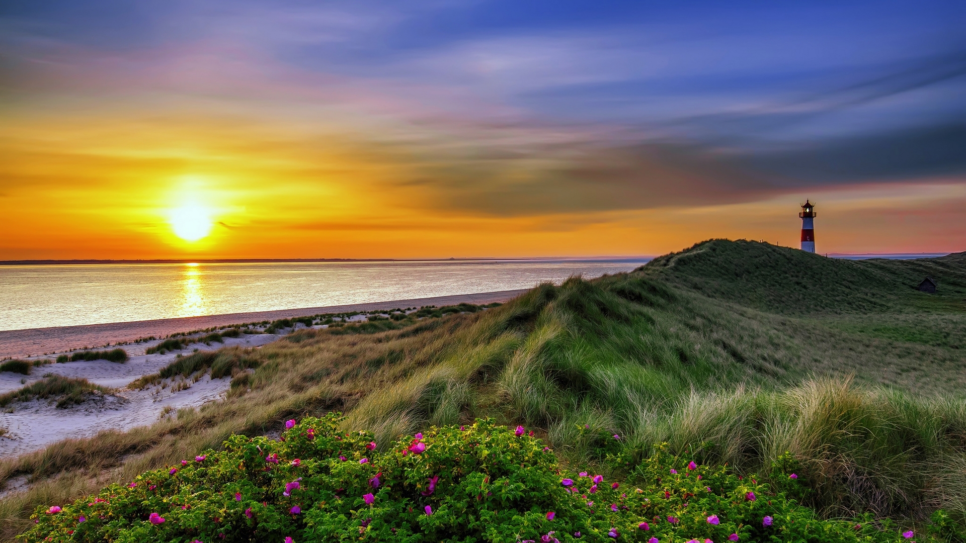 amazing, shore, sun, grass, beautiful, sky, lighthouse, sea, beach, wildflowers, sunrise, reflection, coast Gallery HD Wallpaper